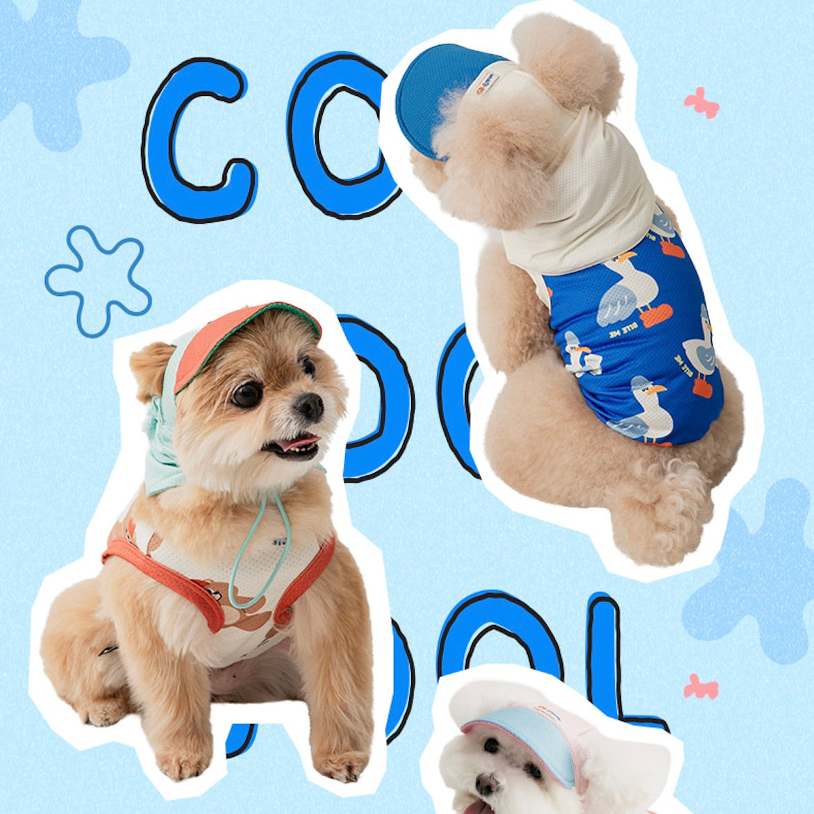 海外犬服 高品質なインポートのドッグウェア通販 