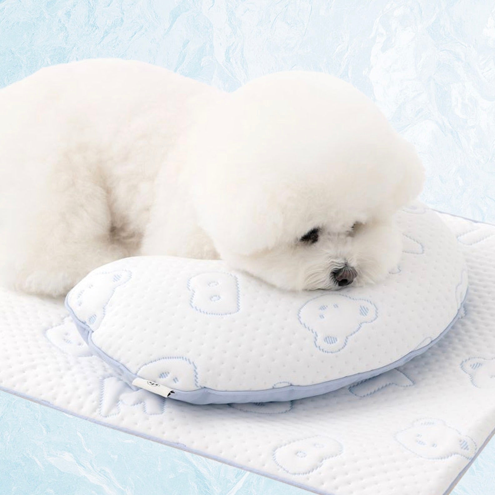 海外犬服 高品質なインポートのドッグウェア通販 