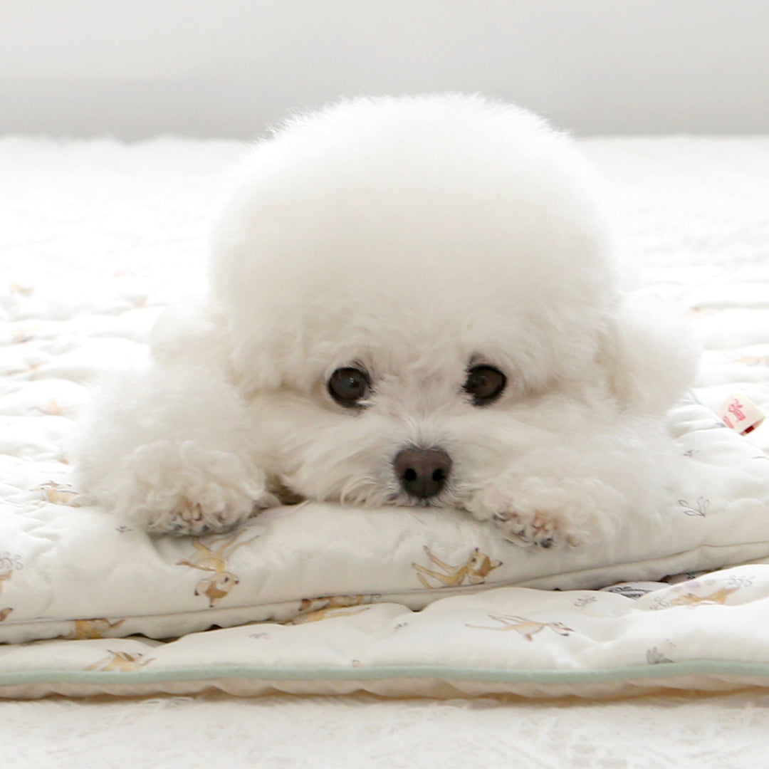 ※予約販売【ITS DOG】Disney Rayon Ice Long Pouch（Bambi）