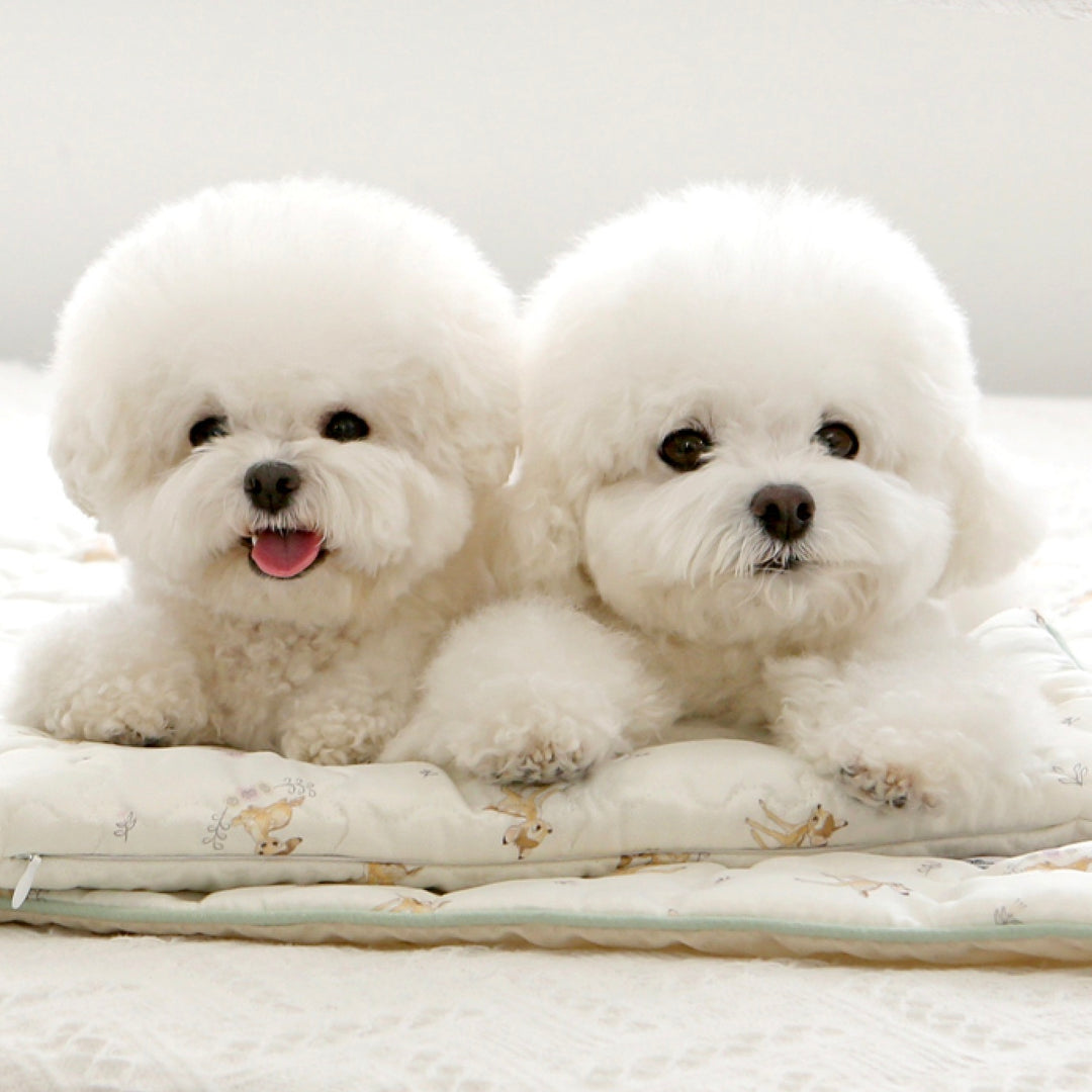 ※予約販売【ITS DOG】Disney Rayon Ice Long Pouch（Bambi）