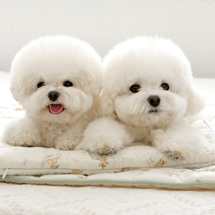 ※予約販売【ITS DOG】Disney Rayon Ice Long Pouch（Bambi）