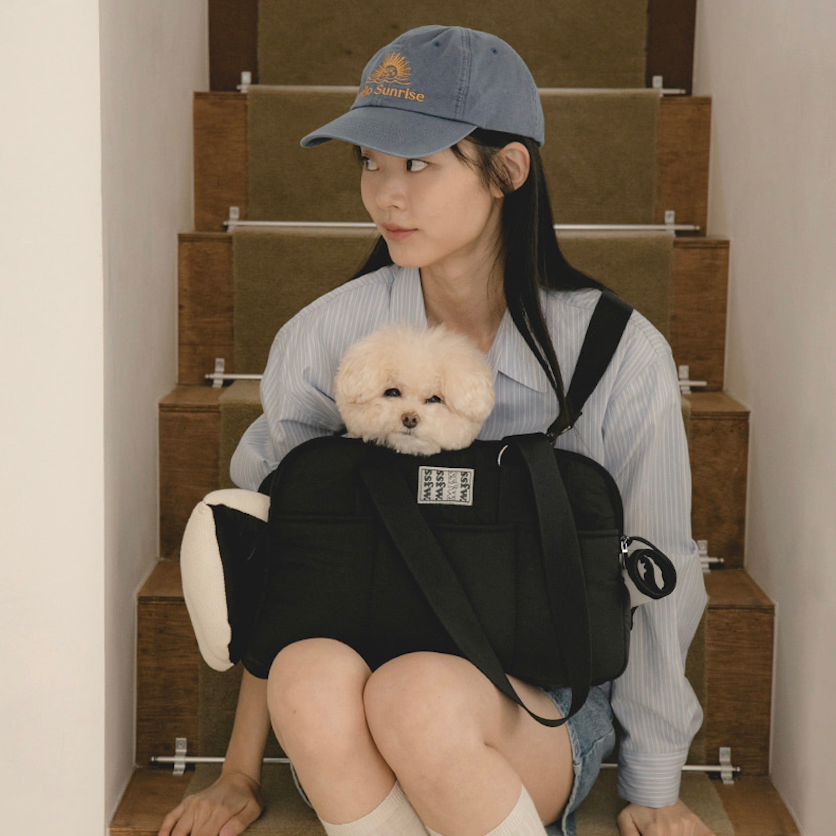 海外犬服 高品質なインポートのドッグウェア通販 