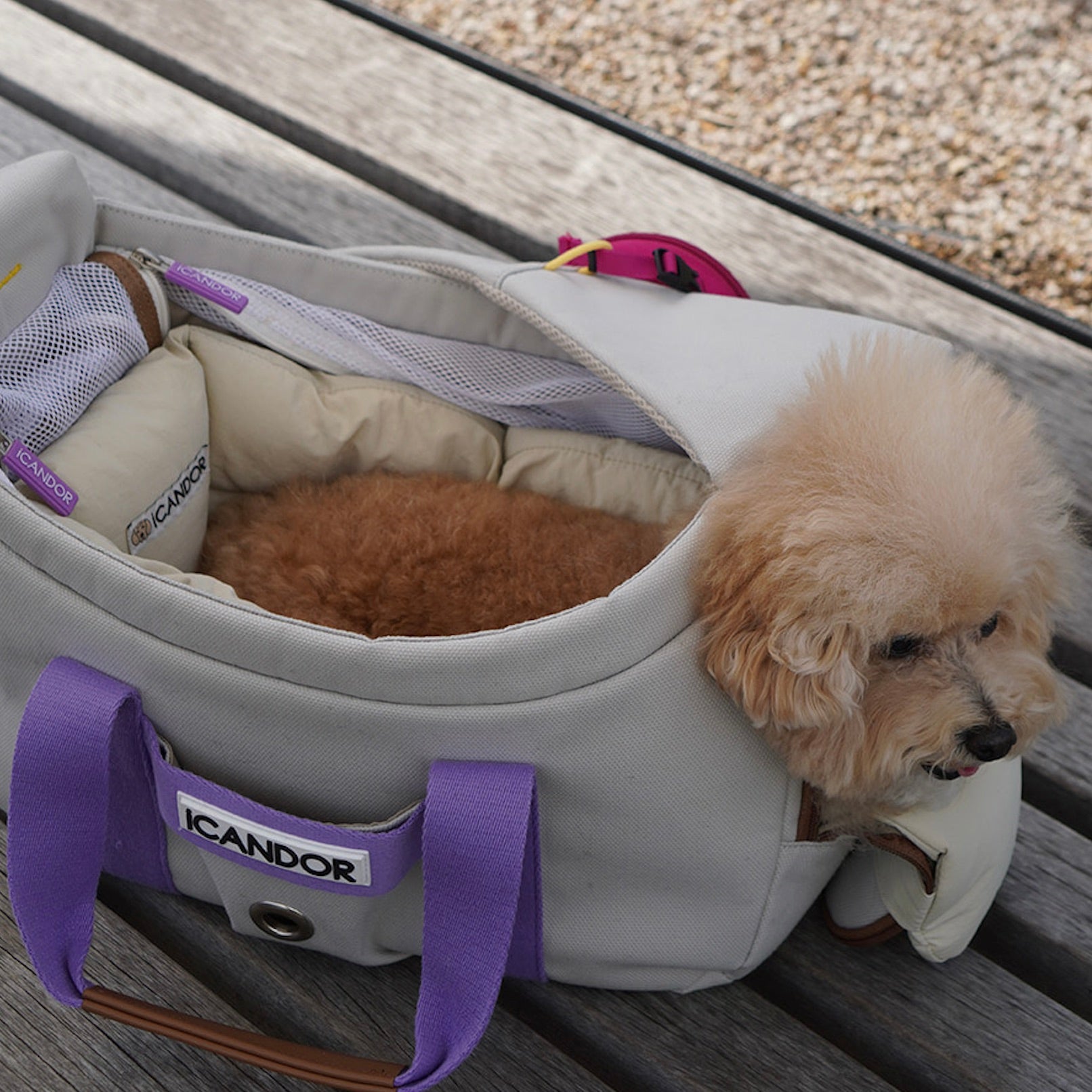 ICANDOR PEEK-A-BOOバックM+COZY オールインワンクッション 海外犬服 高品質なインポートのドッグウェア通販 