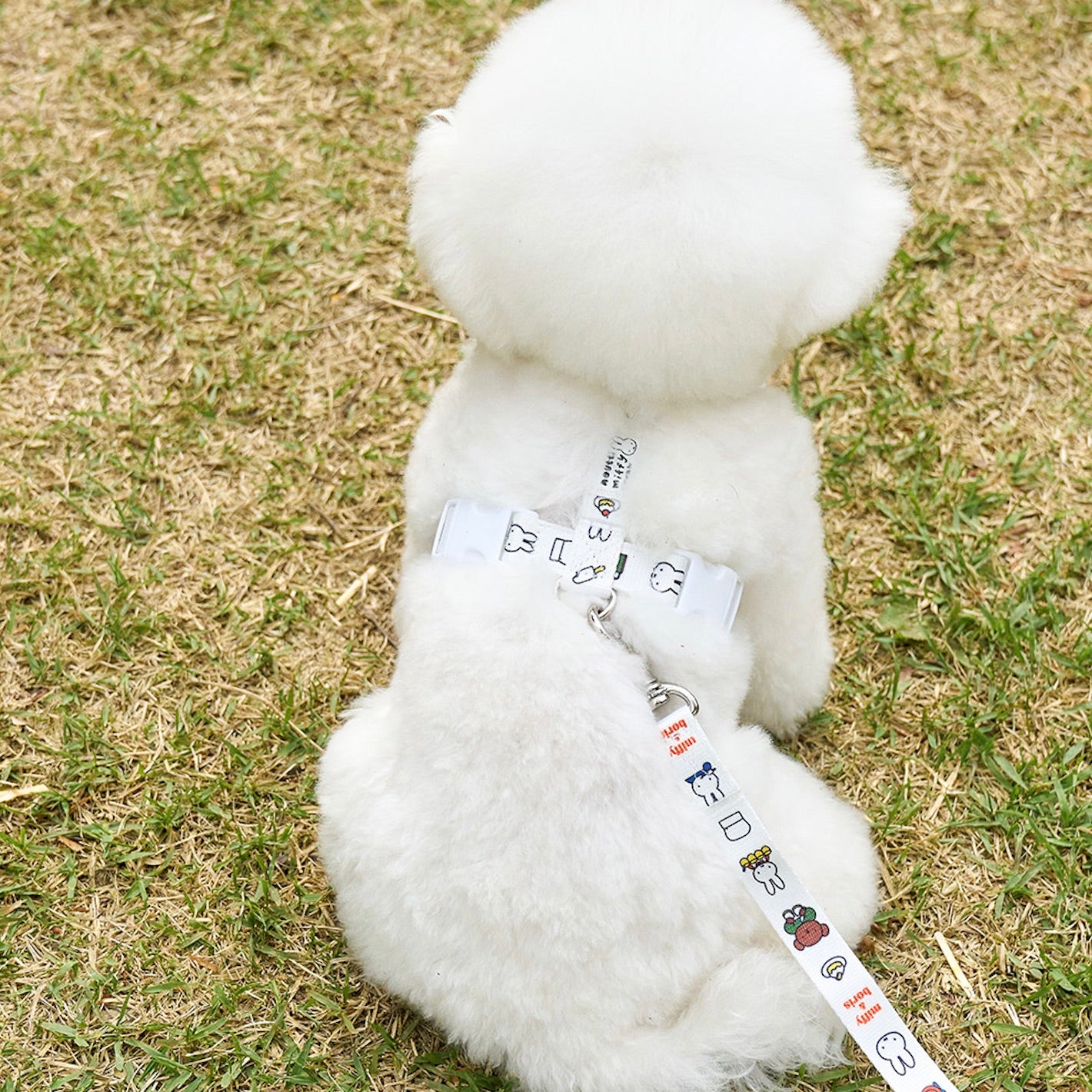 海外犬服 高品質なインポートのドッグウェア通販 