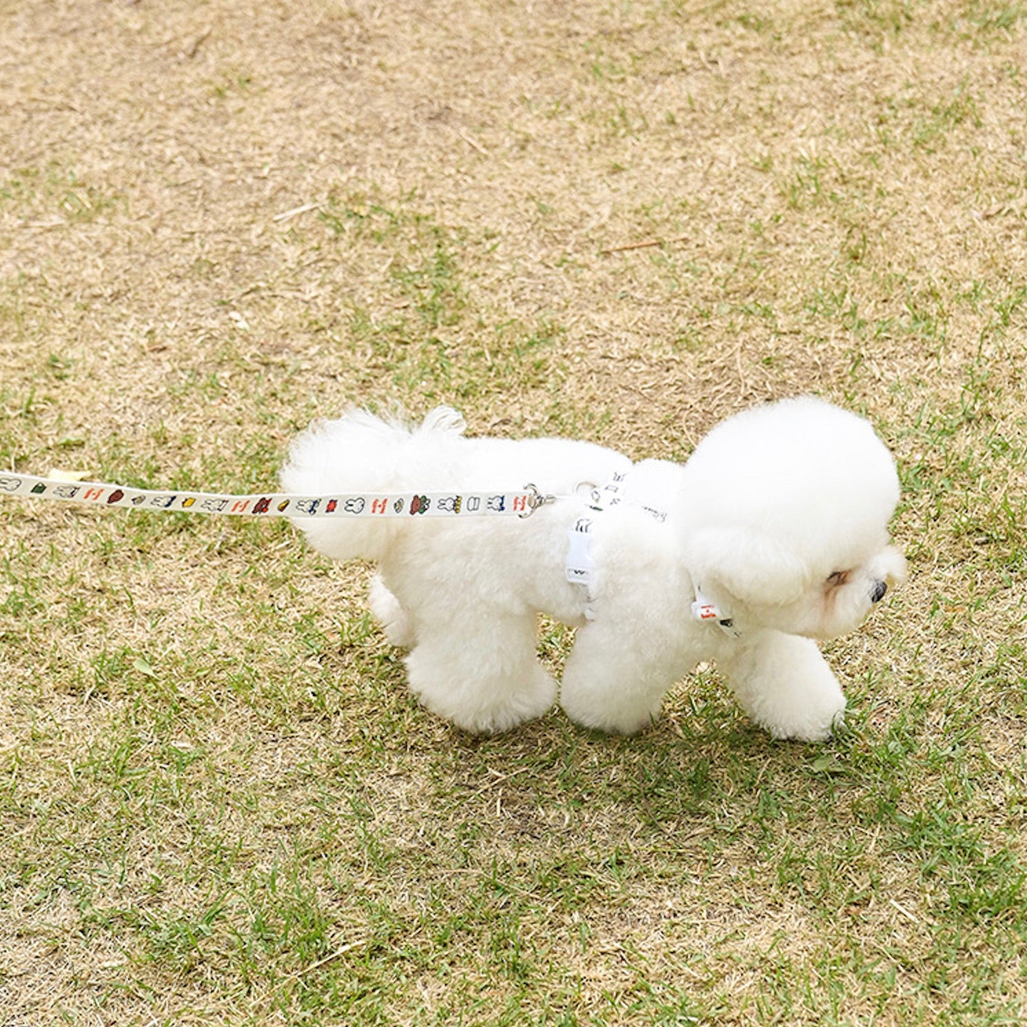 海外犬服 高品質なインポートのドッグウェア通販 