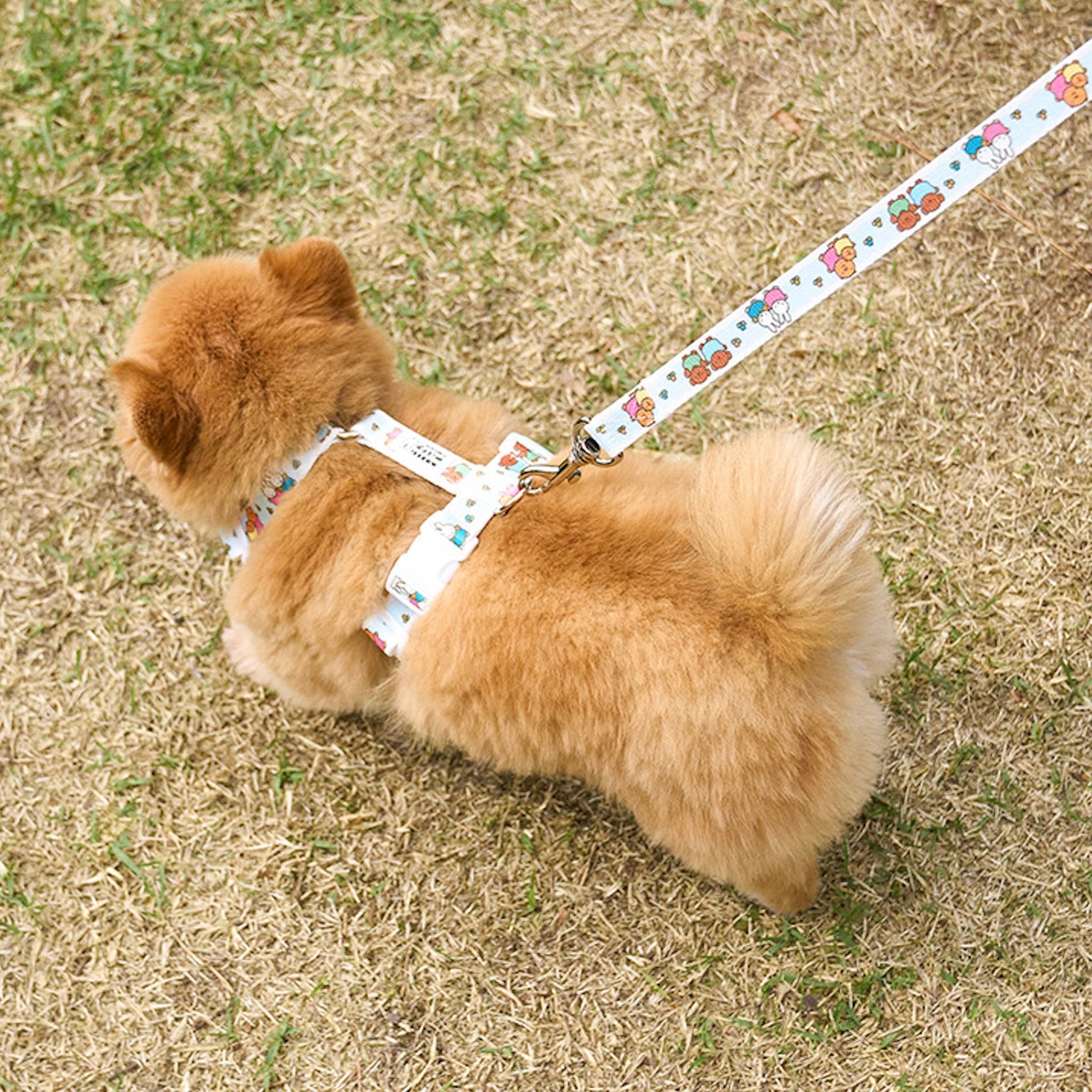 海外犬服 高品質なインポートのドッグウェア通販 