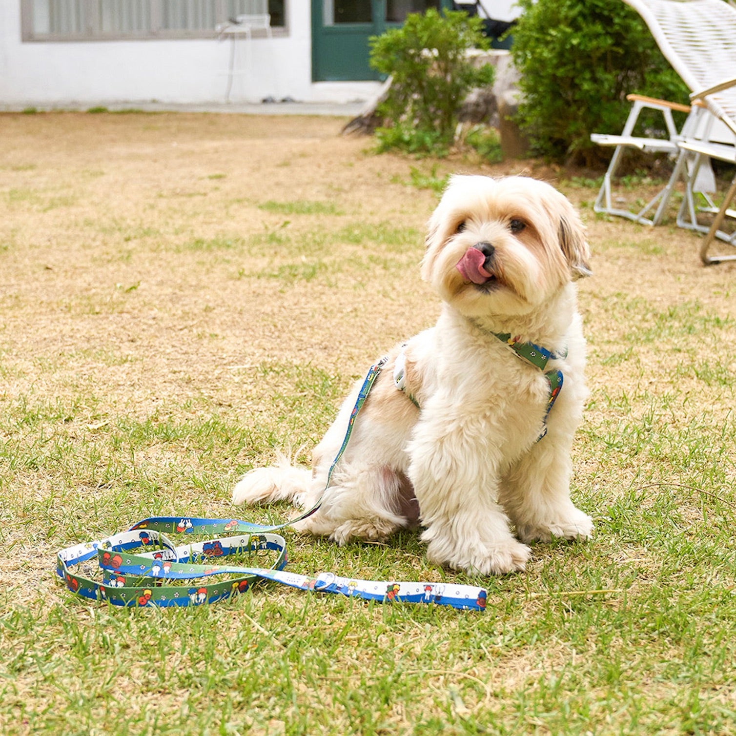 【NOUTTI】MIFFY HARNESS &LEADセット noutti☆ Miffy Poop Bag Harness 取り外し可能バッグ リードSET
