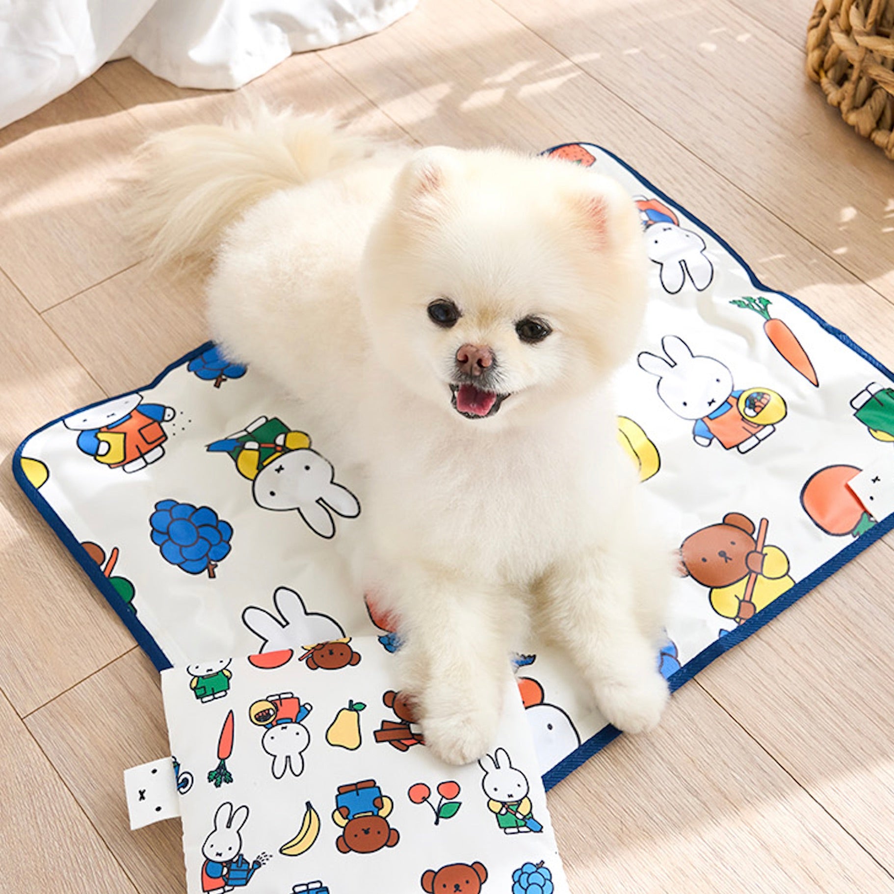 海外犬服 高品質なインポートのドッグウェア通販 