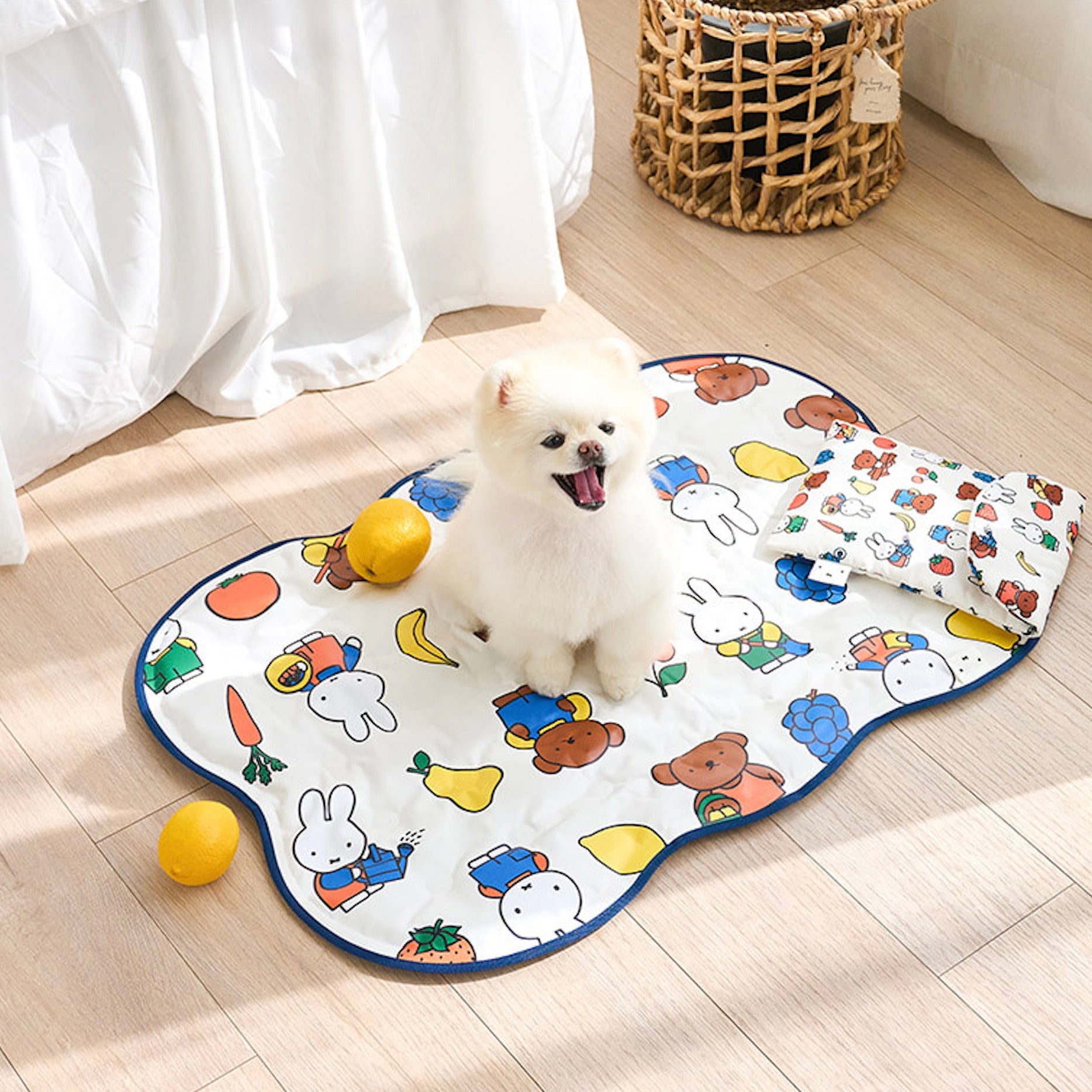 海外犬服 高品質なインポートのドッグウェア通販 