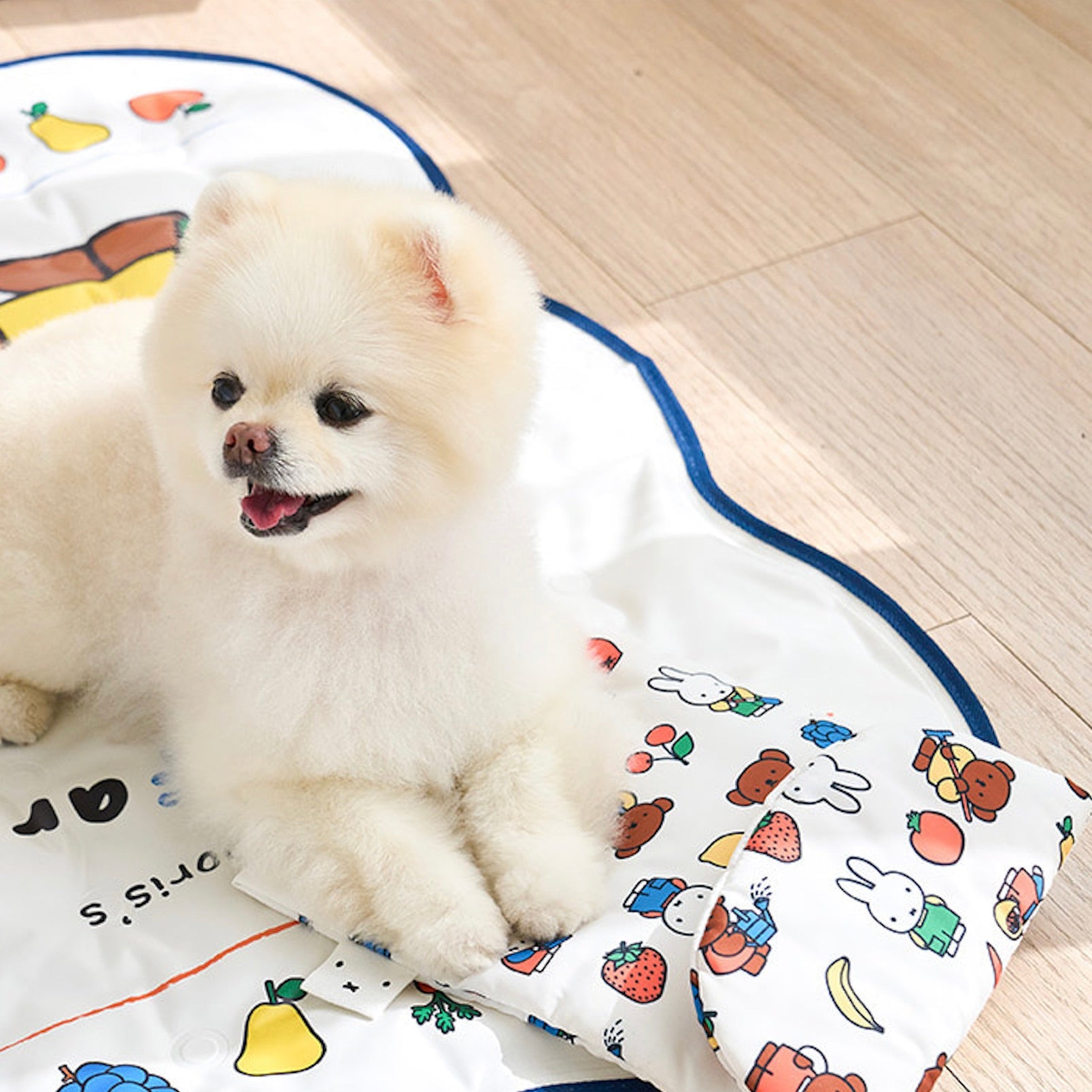 海外犬服 高品質なインポートのドッグウェア通販 