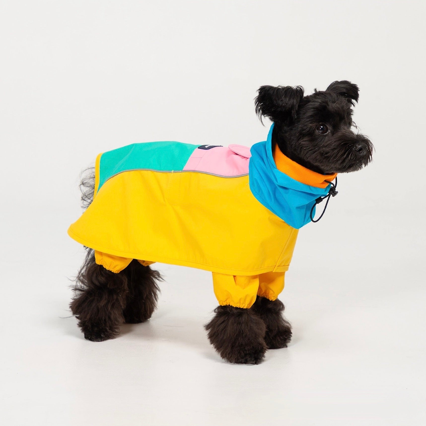 海外犬服 高品質なインポートのドッグウェア通販 