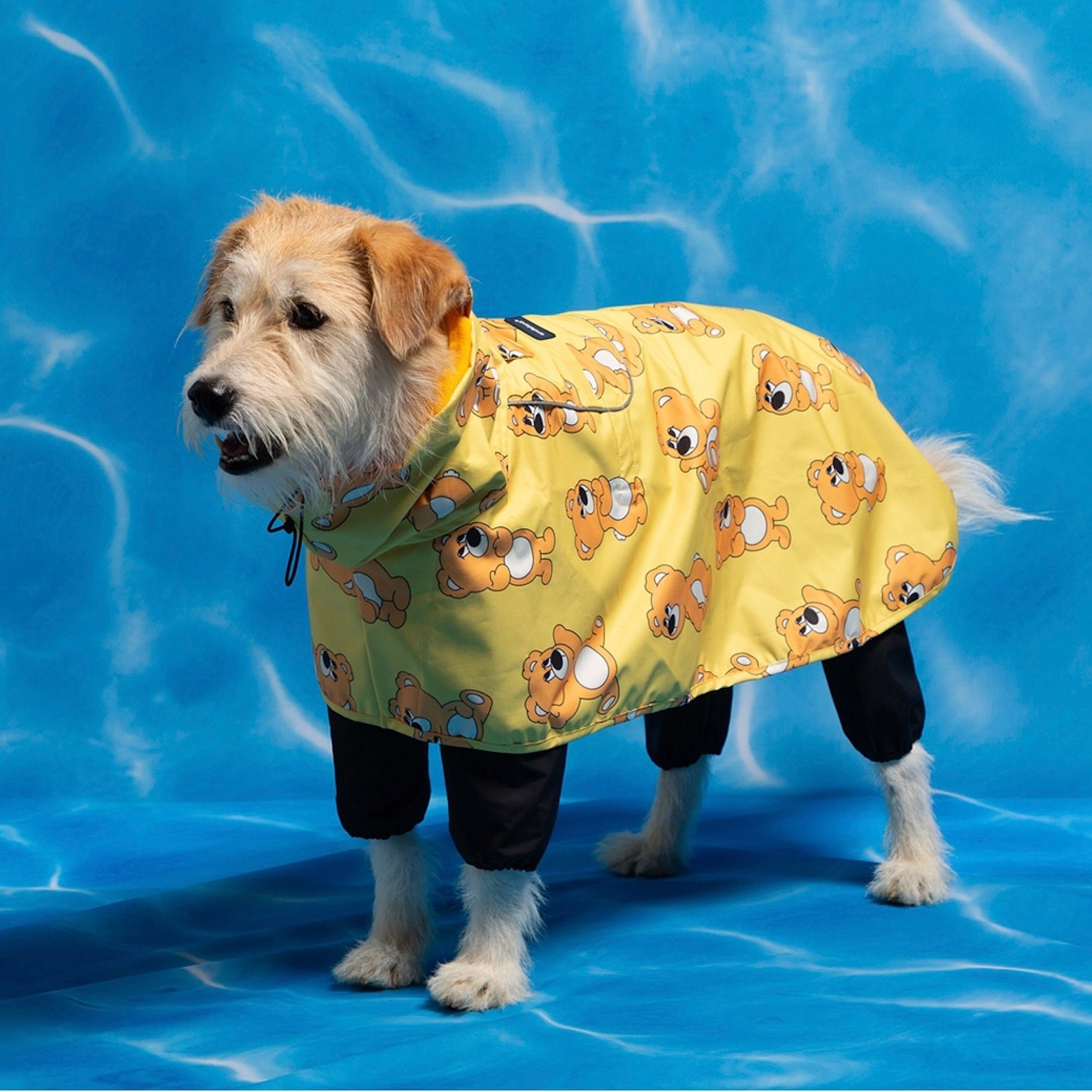 andblank 犬用レインコート 6XL イエロー andblank 犬用レインコート 6XL イエロー JコートB【ダックス用】｜犬