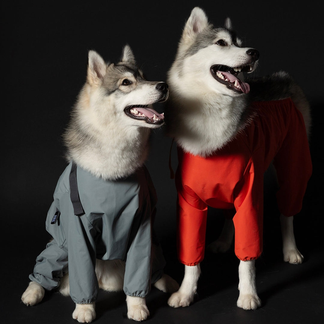 即納【andblank】Bodysuit（Gray）