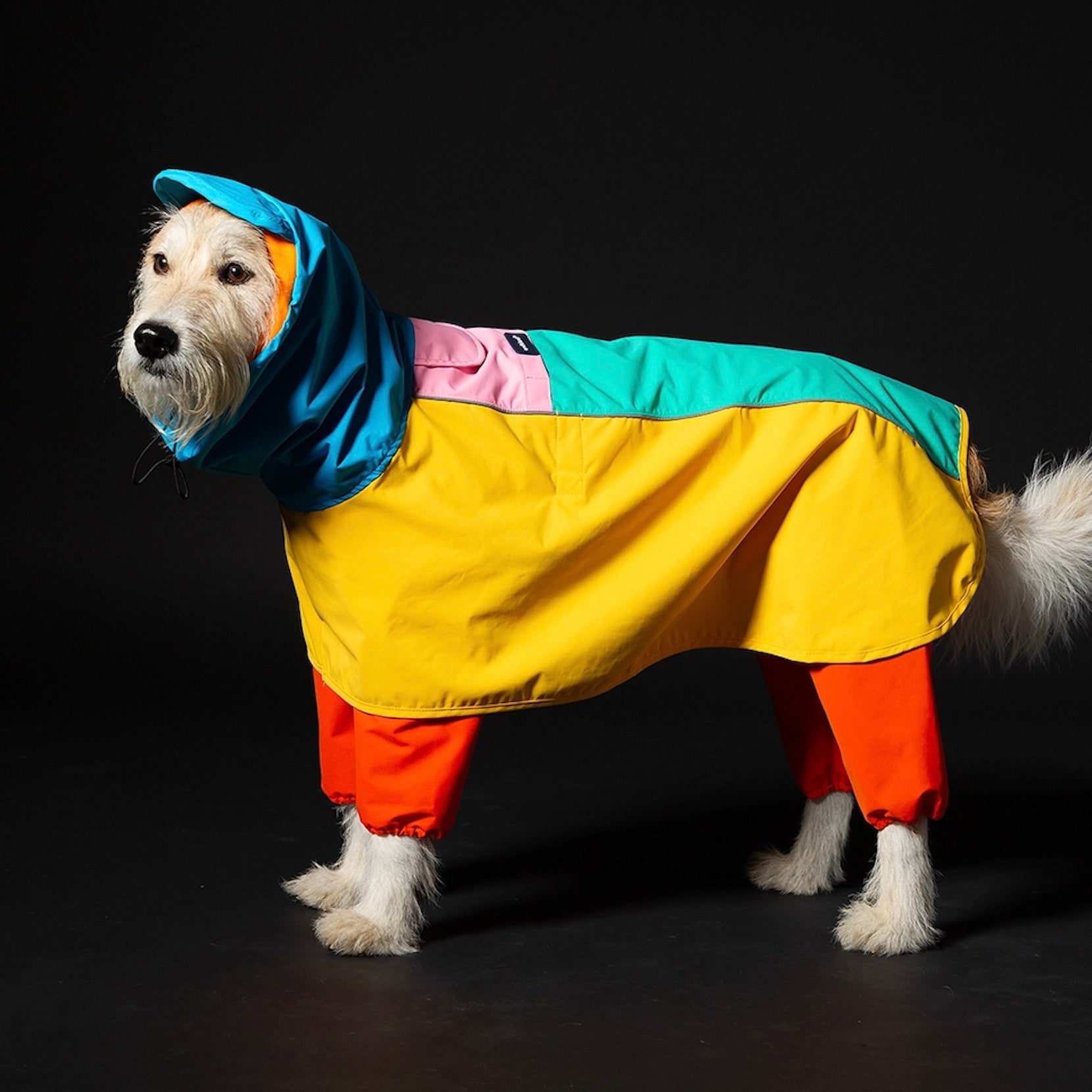 海外犬服 高品質なインポートのドッグウェア通販 