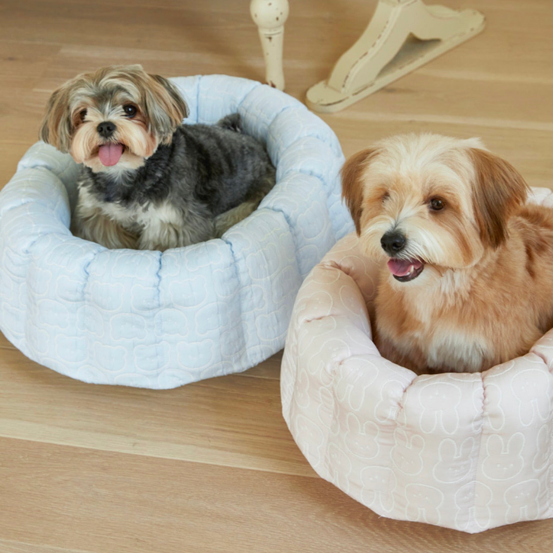 海外犬服 高品質なインポートのドッグウェア通販 