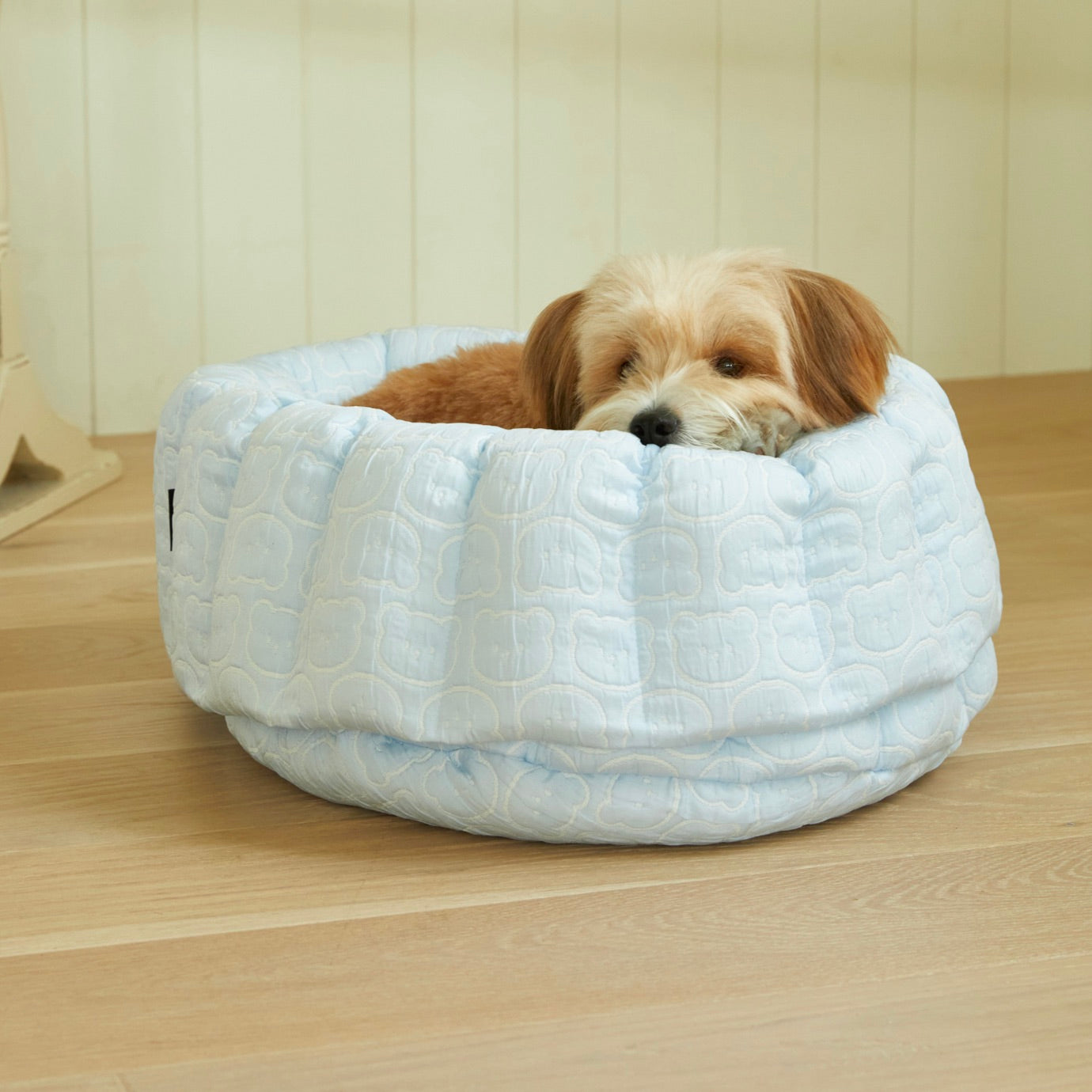 海外犬服 高品質なインポートのドッグウェア通販 