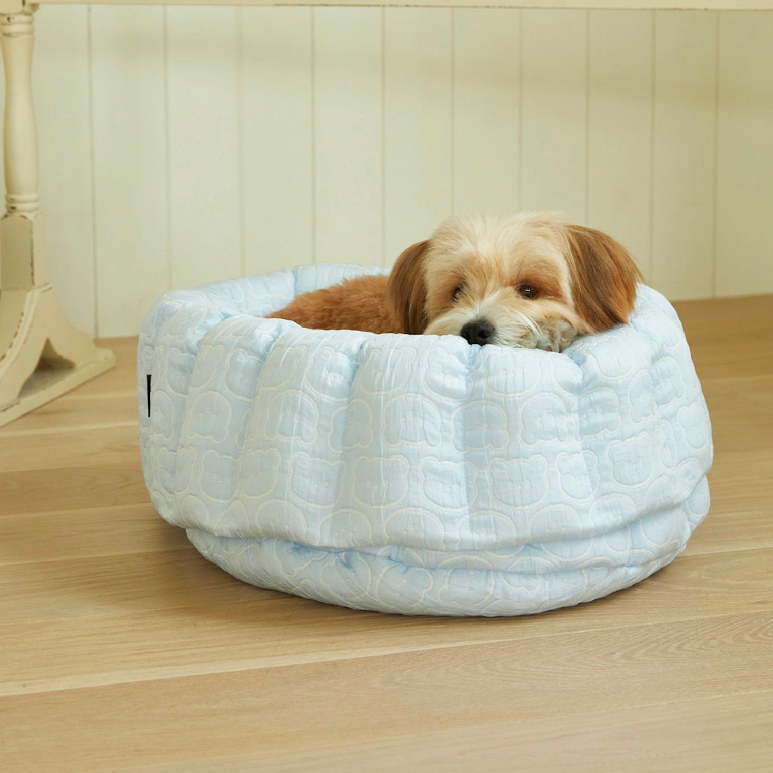 海外犬服 高品質なインポートのドッグウェア通販 