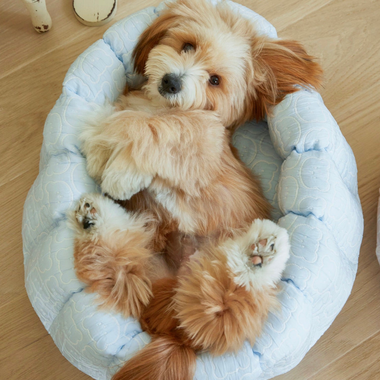 海外犬服 高品質なインポートのドッグウェア通販 