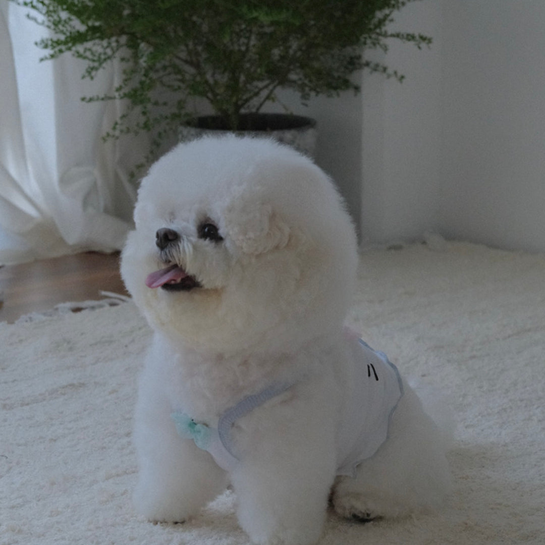 即納【BeBe Breath】BuBu Crop Top（White）