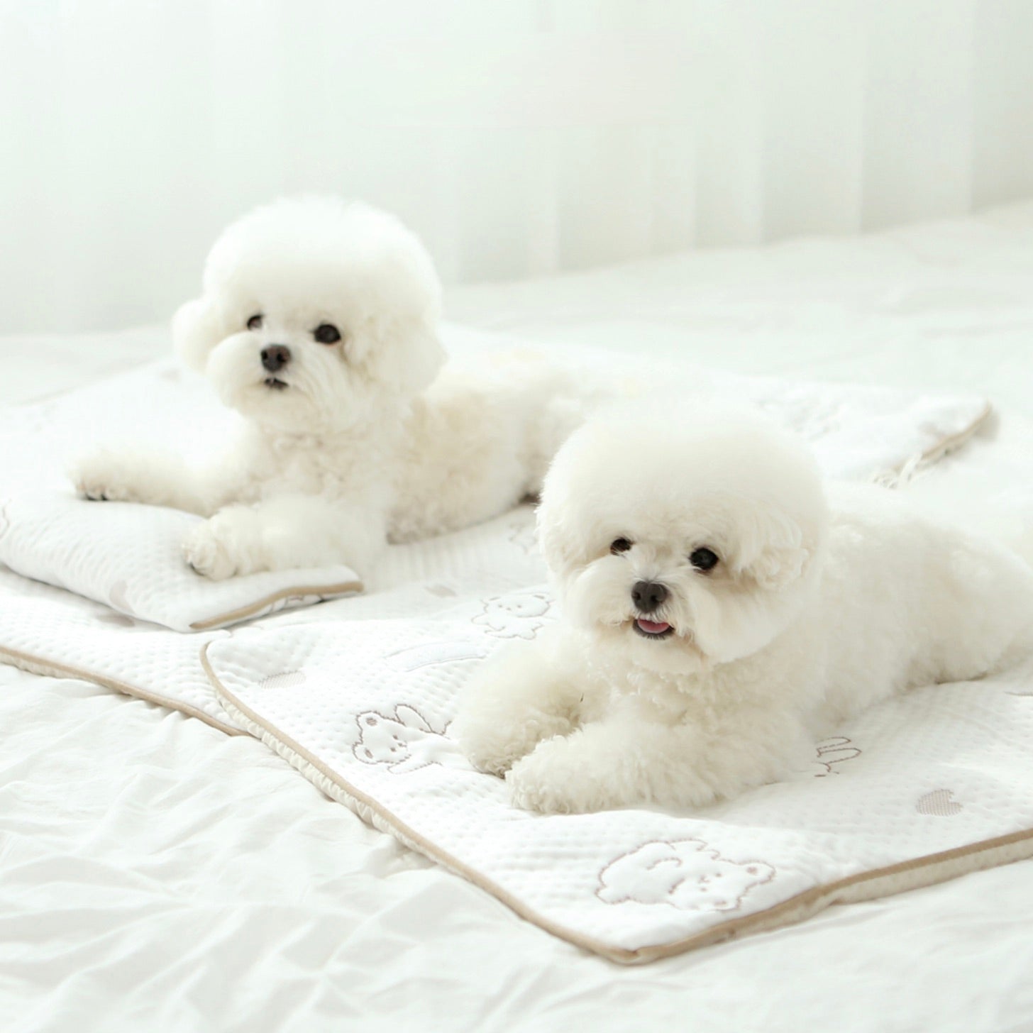 即納【ITS DOG】Forpe Cooling Mat