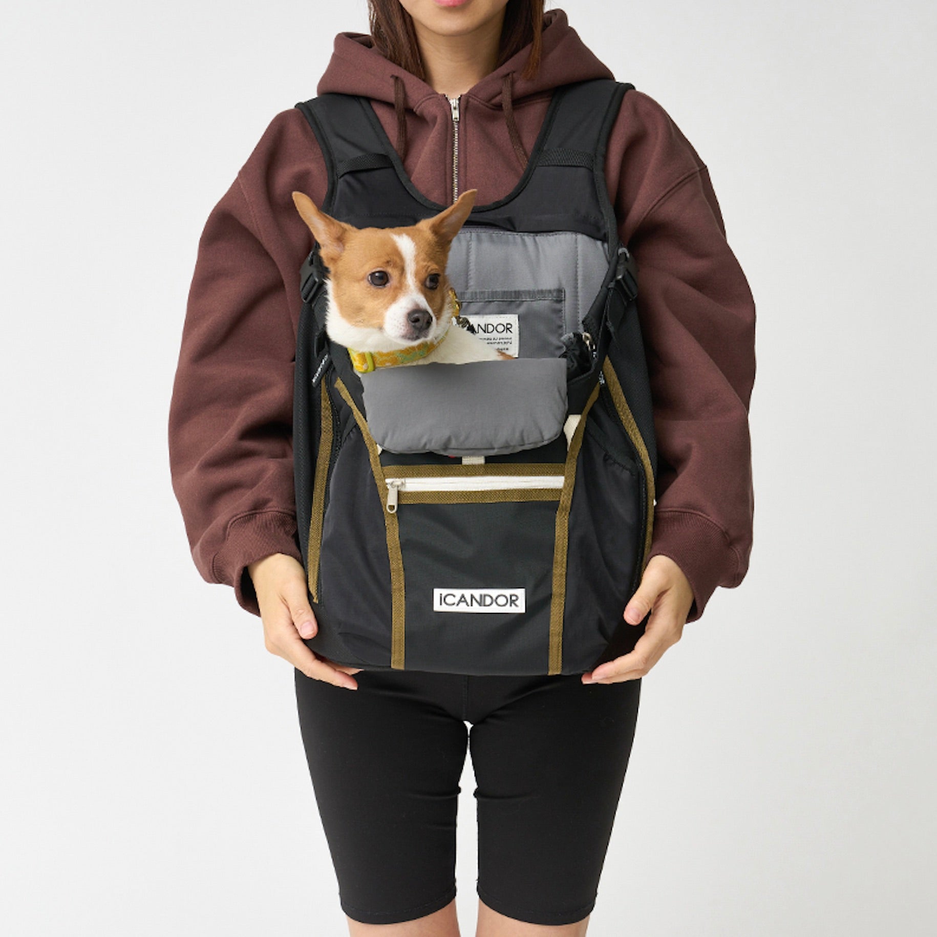 iCANDOR JIGE bag（Vivid Khaki） ペットキャリー 楽天市場