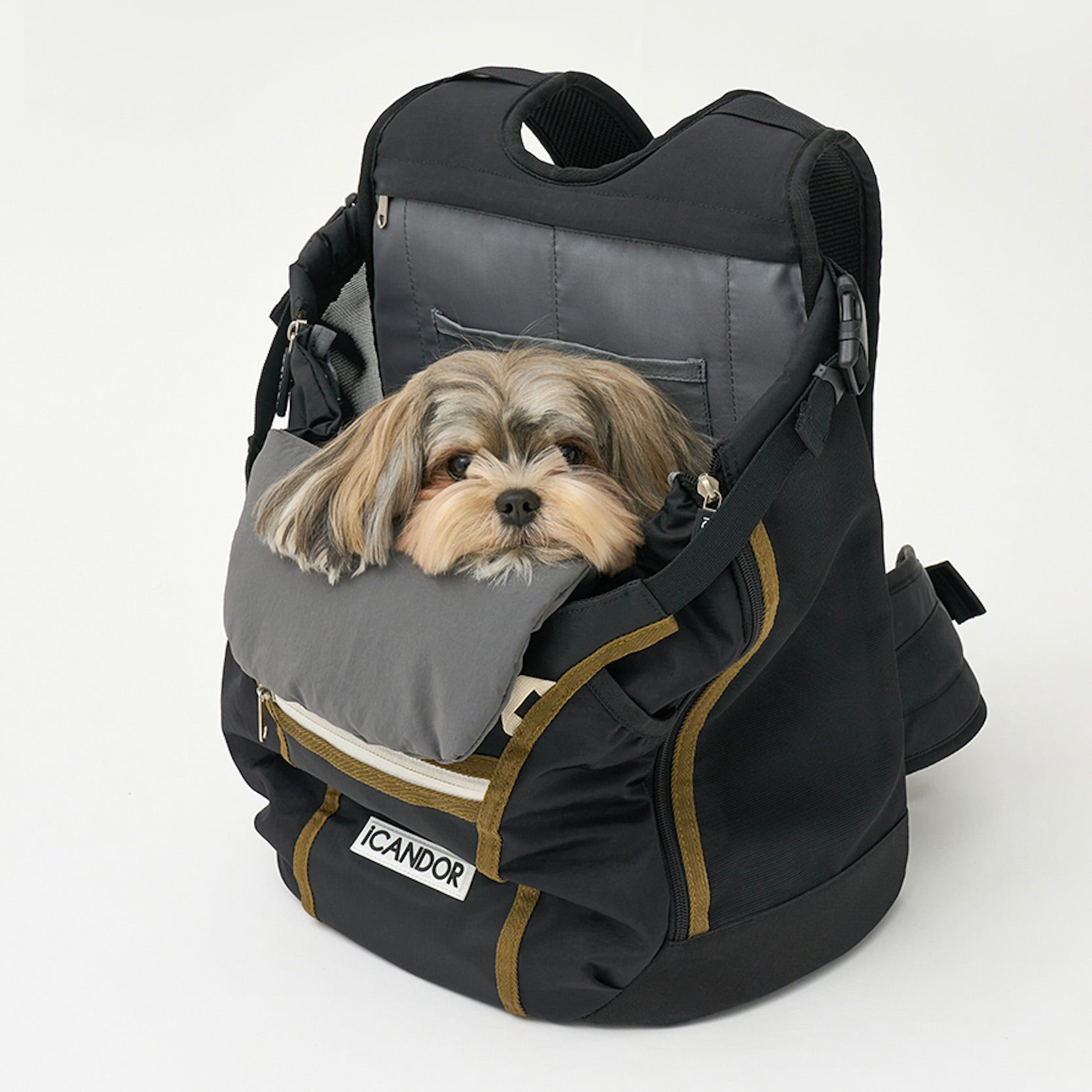 海外犬服 高品質なインポートのドッグウェア通販 