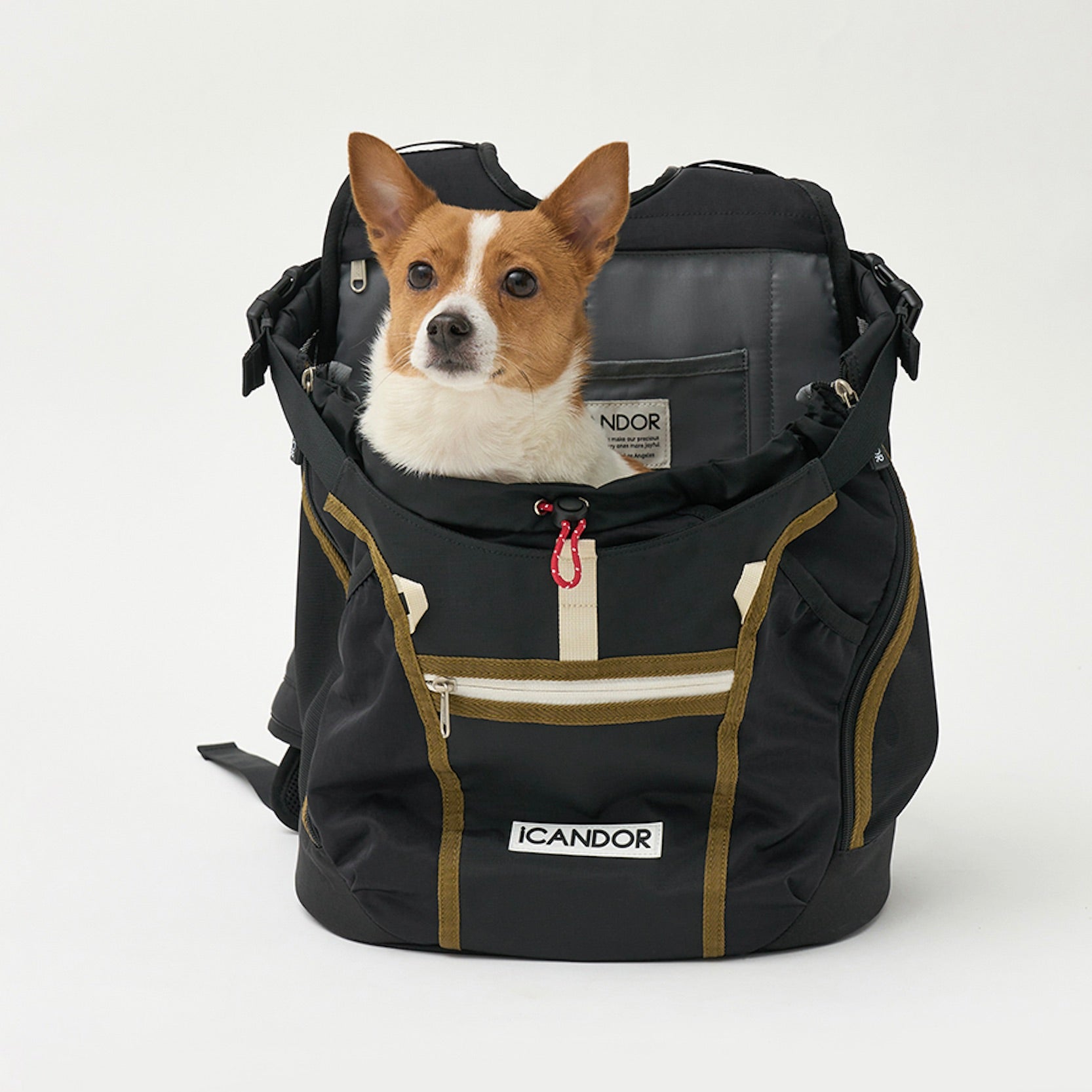 海外犬服 高品質なインポートのドッグウェア通販 