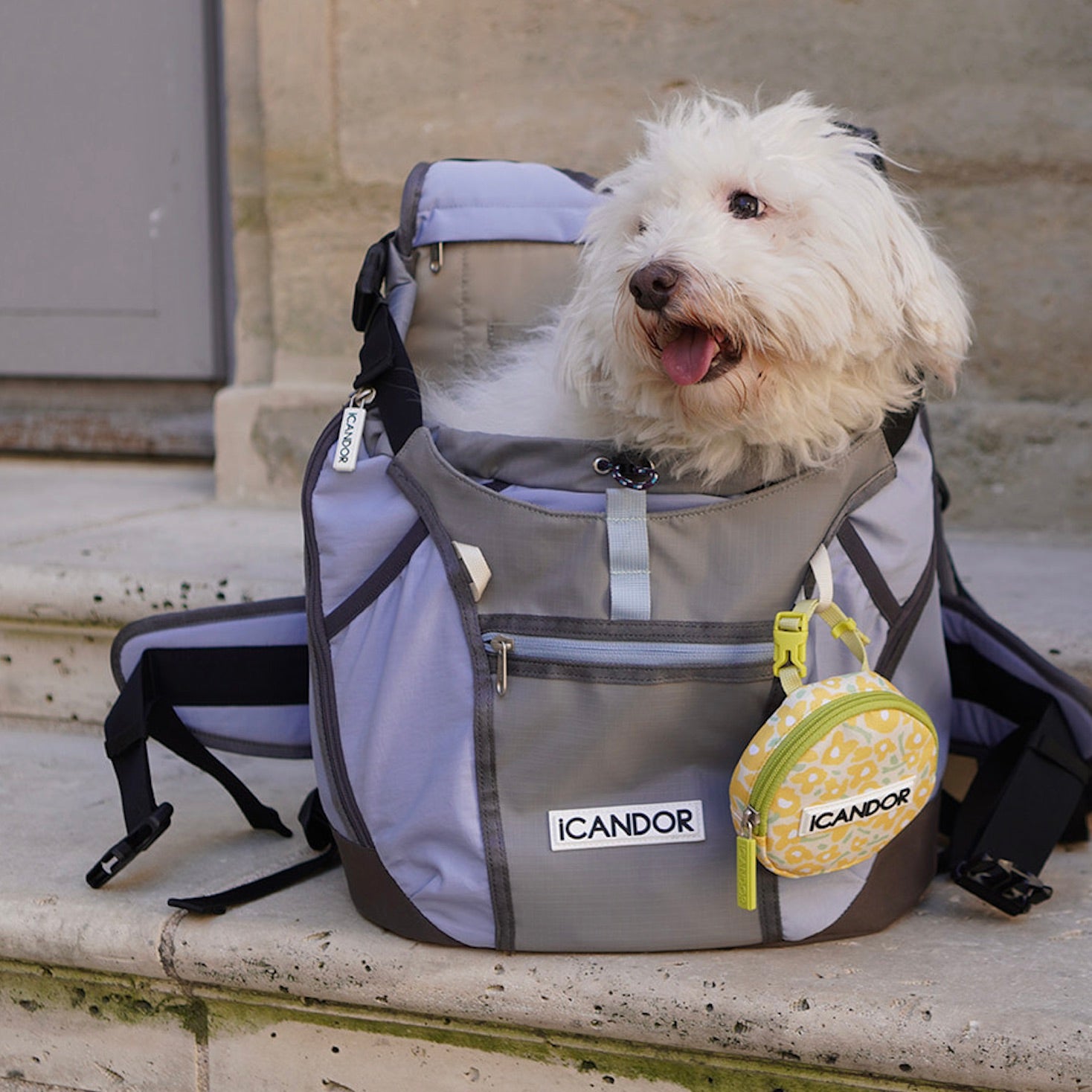 海外犬服 高品質なインポートのドッグウェア通販 