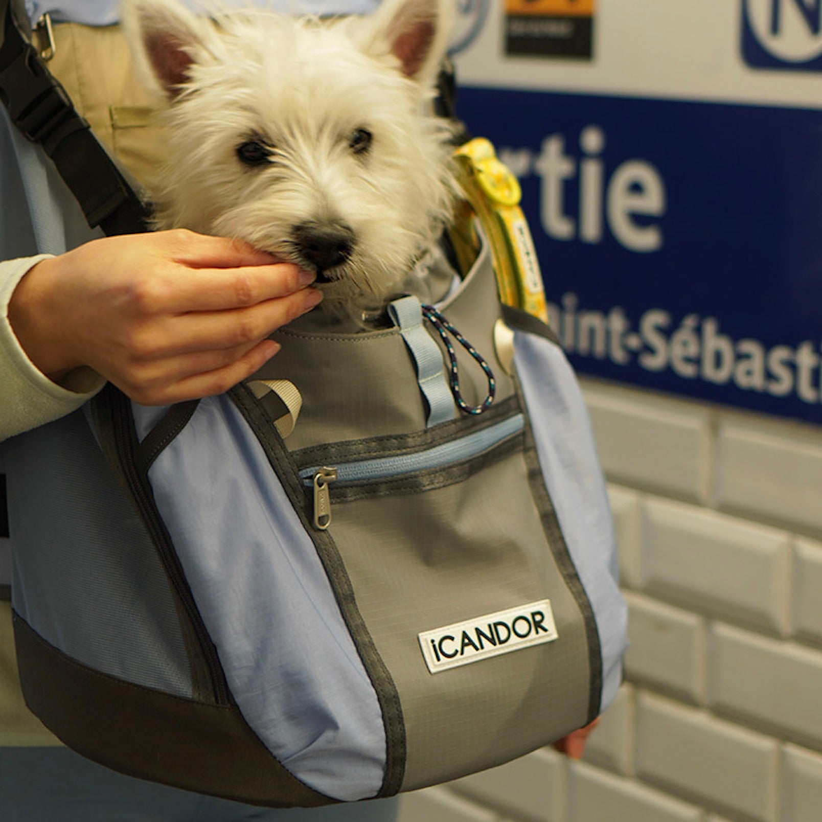 海外犬服 高品質なインポートのドッグウェア通販 