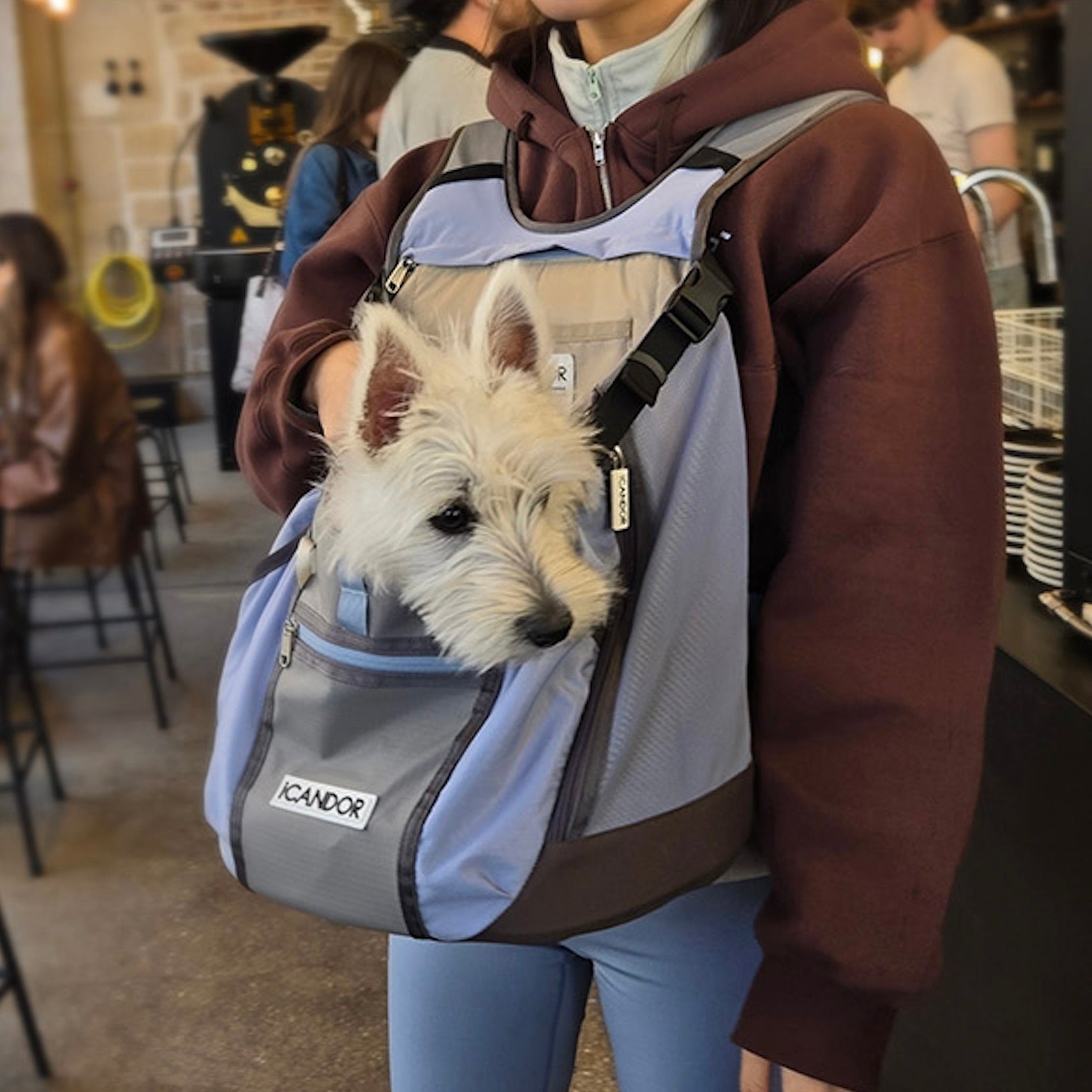 海外犬服 高品質なインポートのドッグウェア通販 海外犬服 高品質なインポートのドッグウェア通販