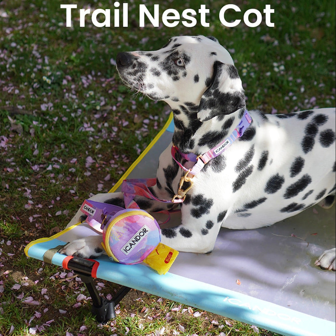 即納【iCANDOR】TRAIL NEST COT