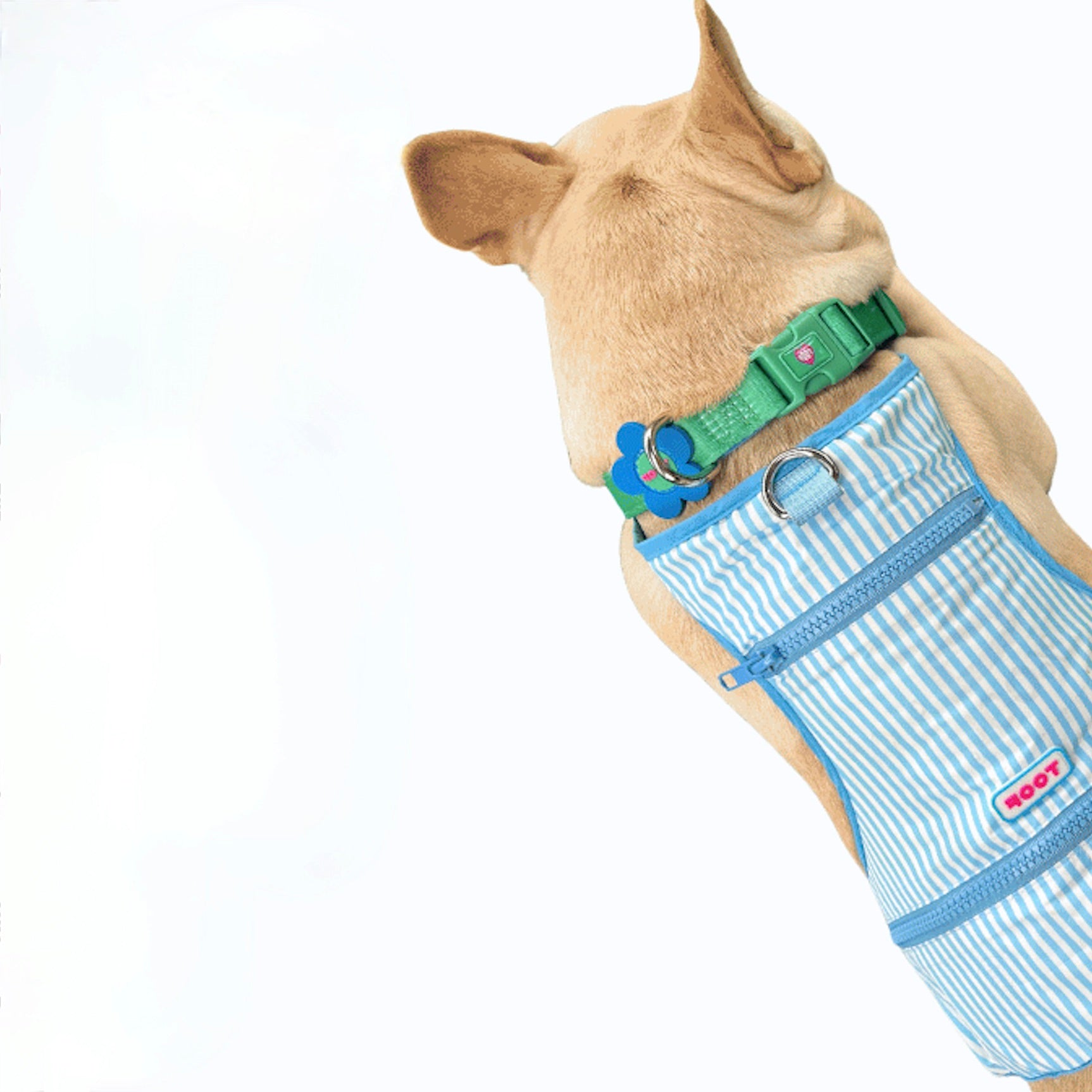 保冷/保温グッズ – URBAN DOG TOKYO