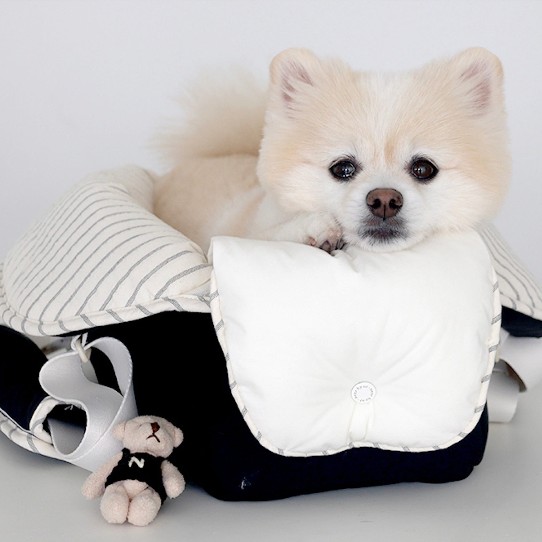 海外犬服 高品質なインポートのドッグウェア通販 