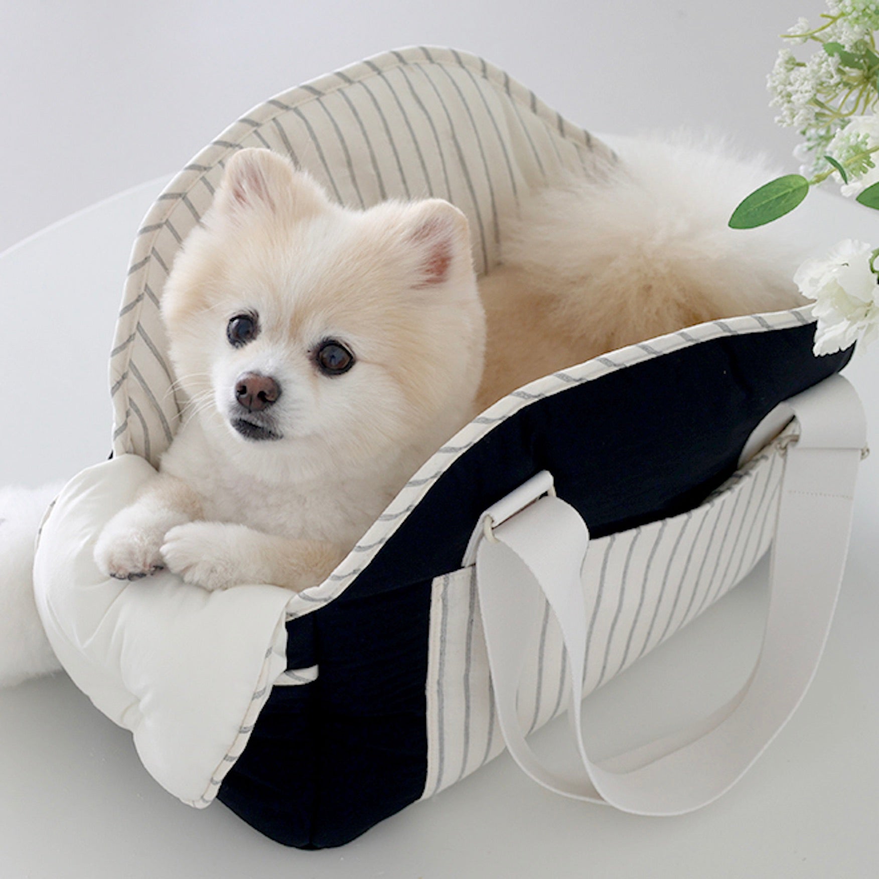 海外犬服 高品質なインポートのドッグウェア通販 