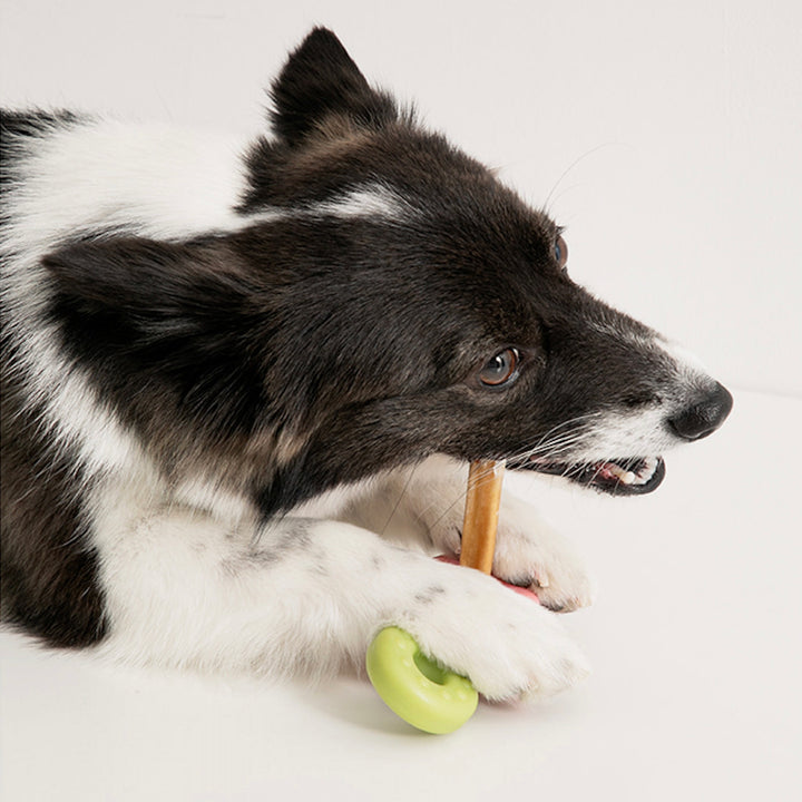 即納【BITE ME】Easy Bite Grip（2colors）