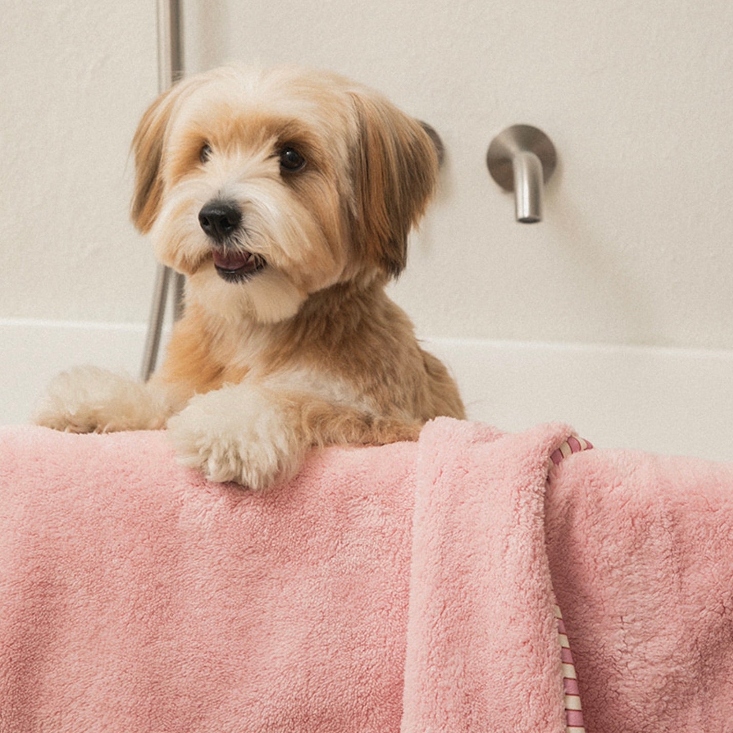 海外犬服 高品質なインポートのドッグウェア通販 