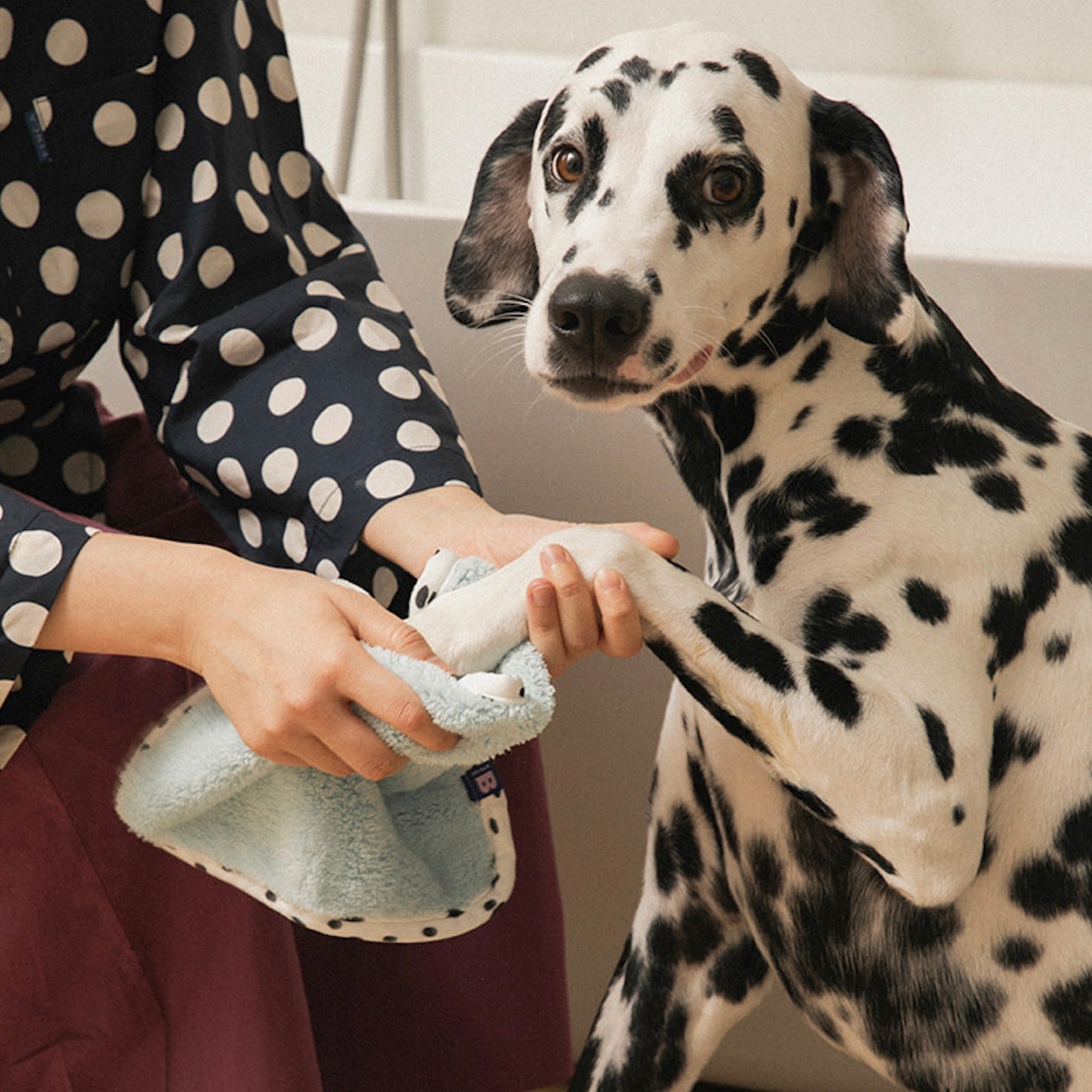 海外犬服 高品質なインポートのドッグウェア通販 