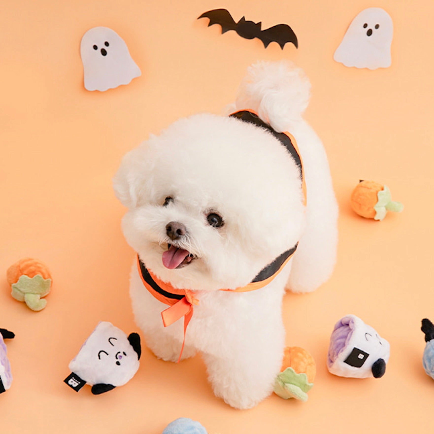 海外犬服 高品質なインポートのドッグウェア通販 