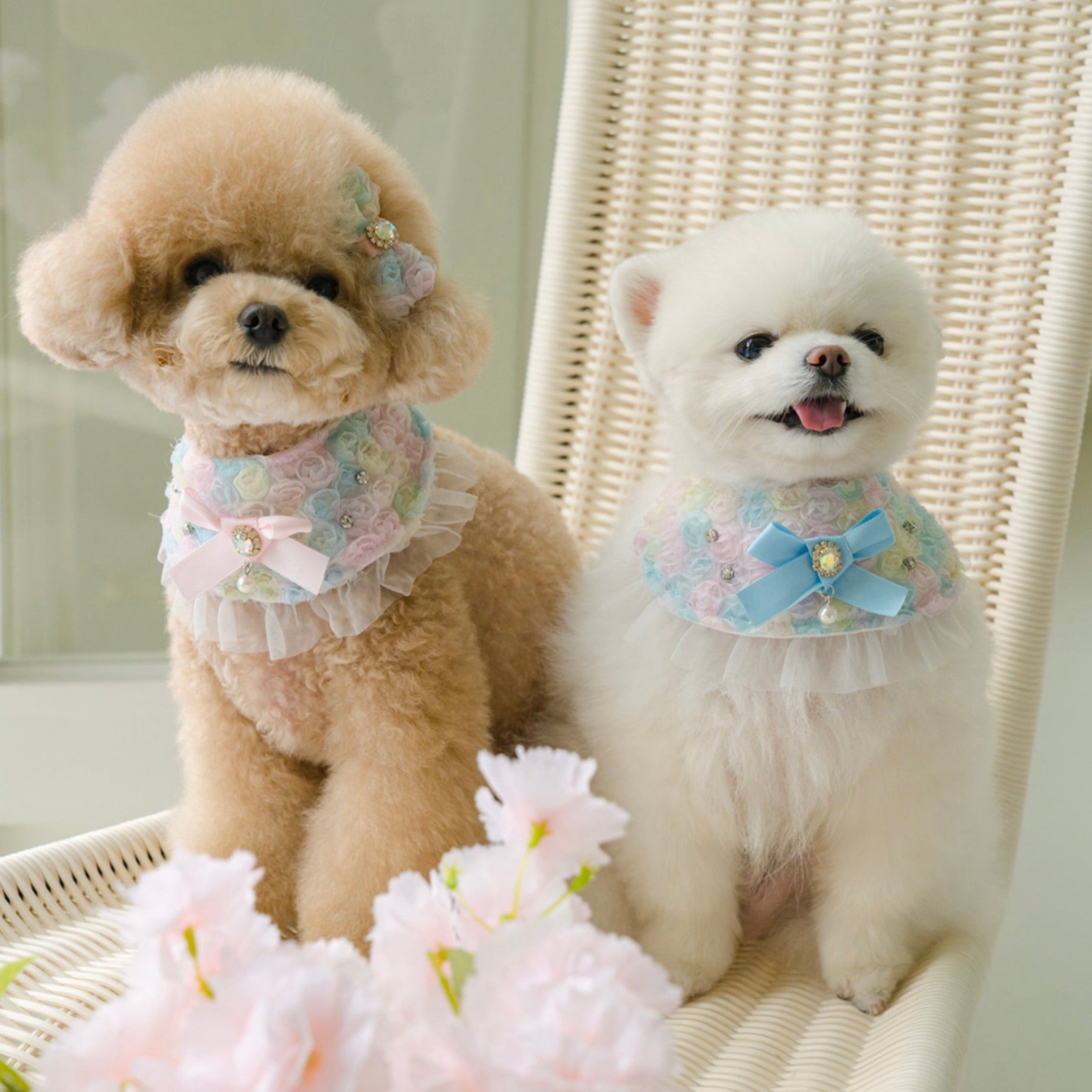 ビブ・スタイ – URBAN DOG TOKYO