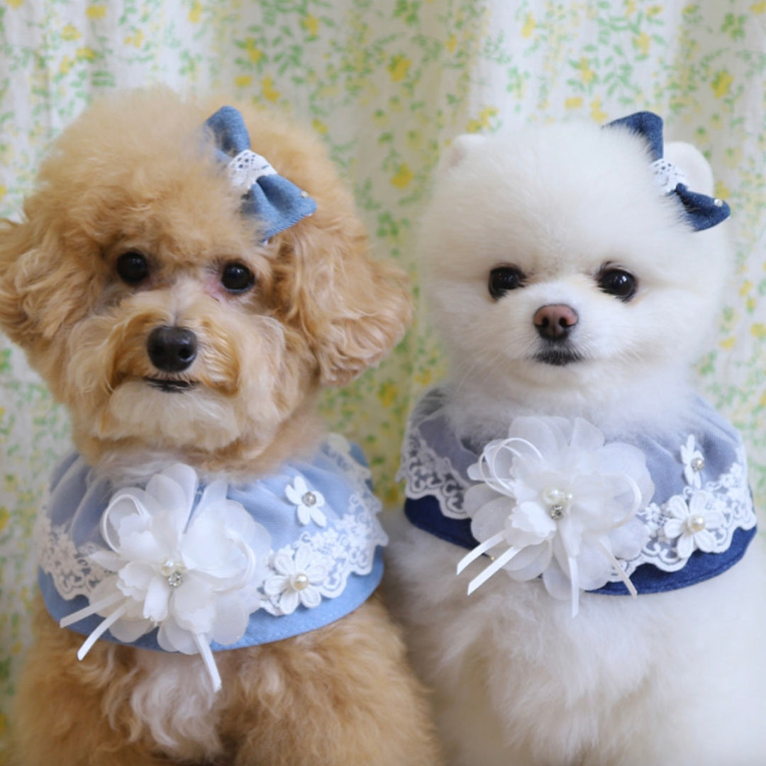 即納【Pets&Me】Blooming Denim Scarf - 2color