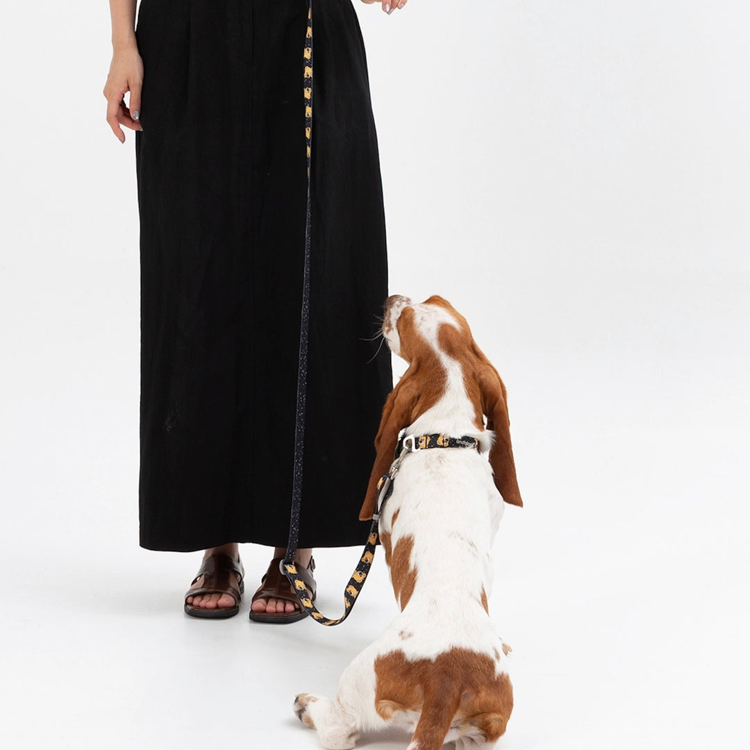 ※予約販売【andblank】ICONIC Joy Bear Collar（Black）