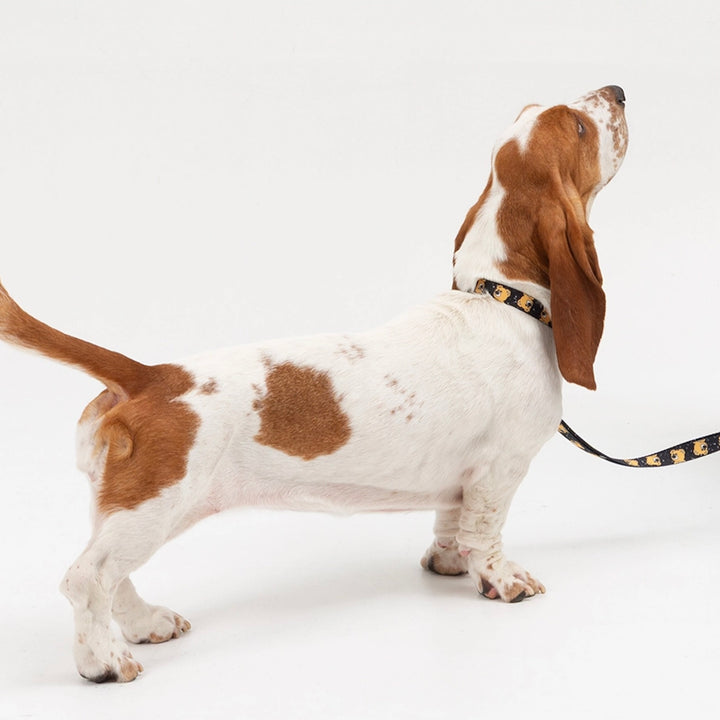 ※予約販売【andblank】ICONIC Joy Bear Collar（Black）