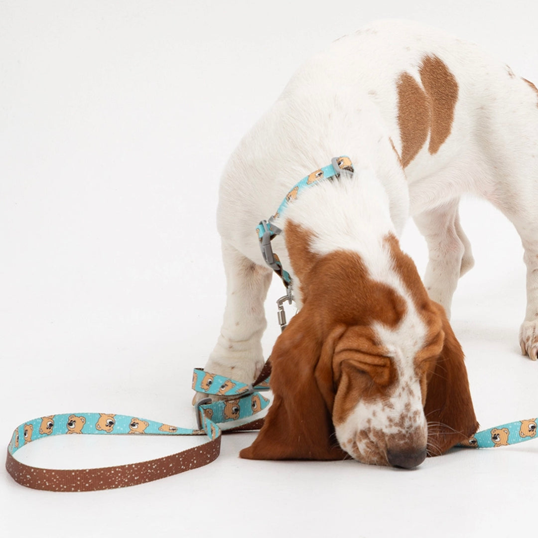 ※予約販売【andblank】ICONIC Joy Bear Collar（Mint）