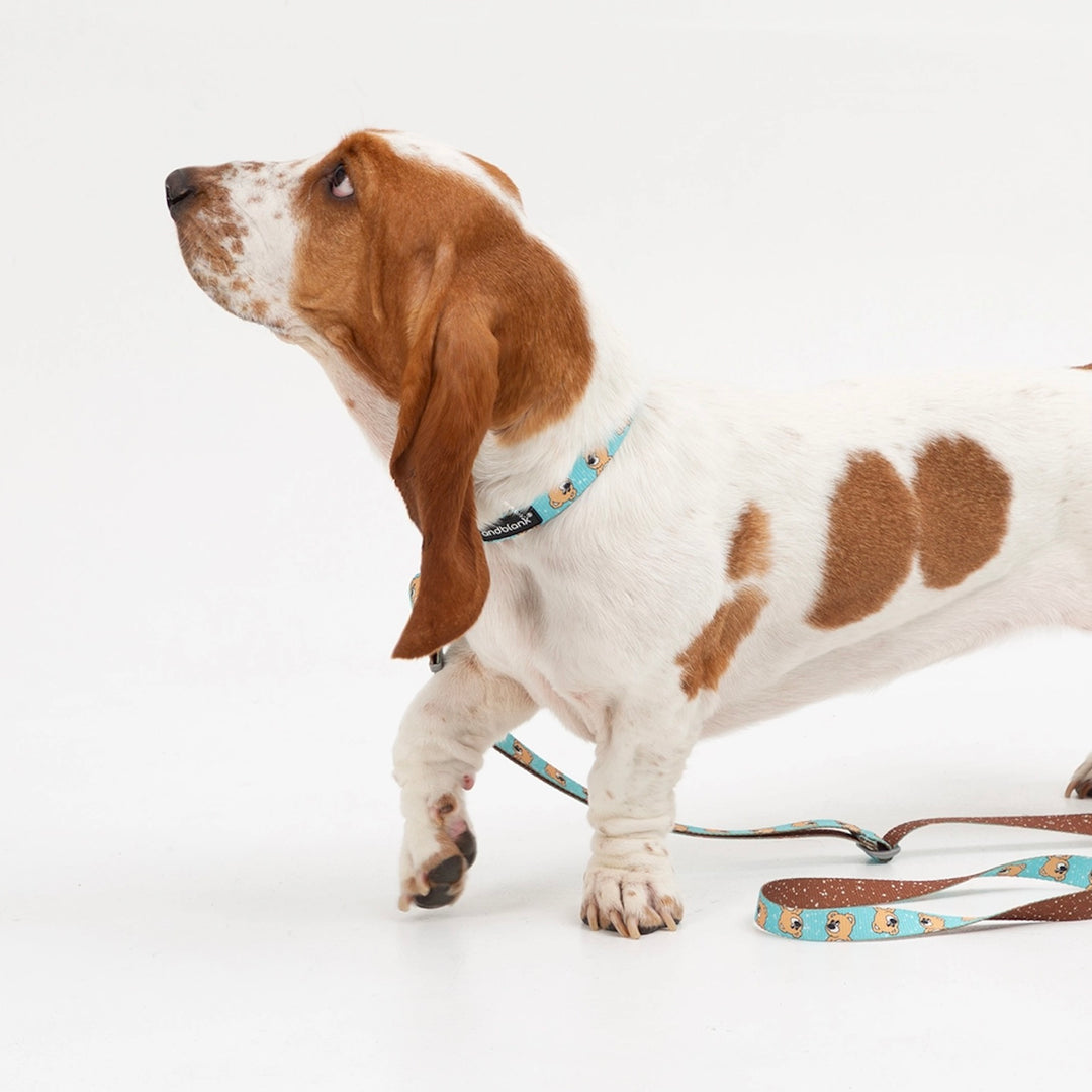 ※予約販売【andblank】ICONIC Joy Bear Collar（Mint）