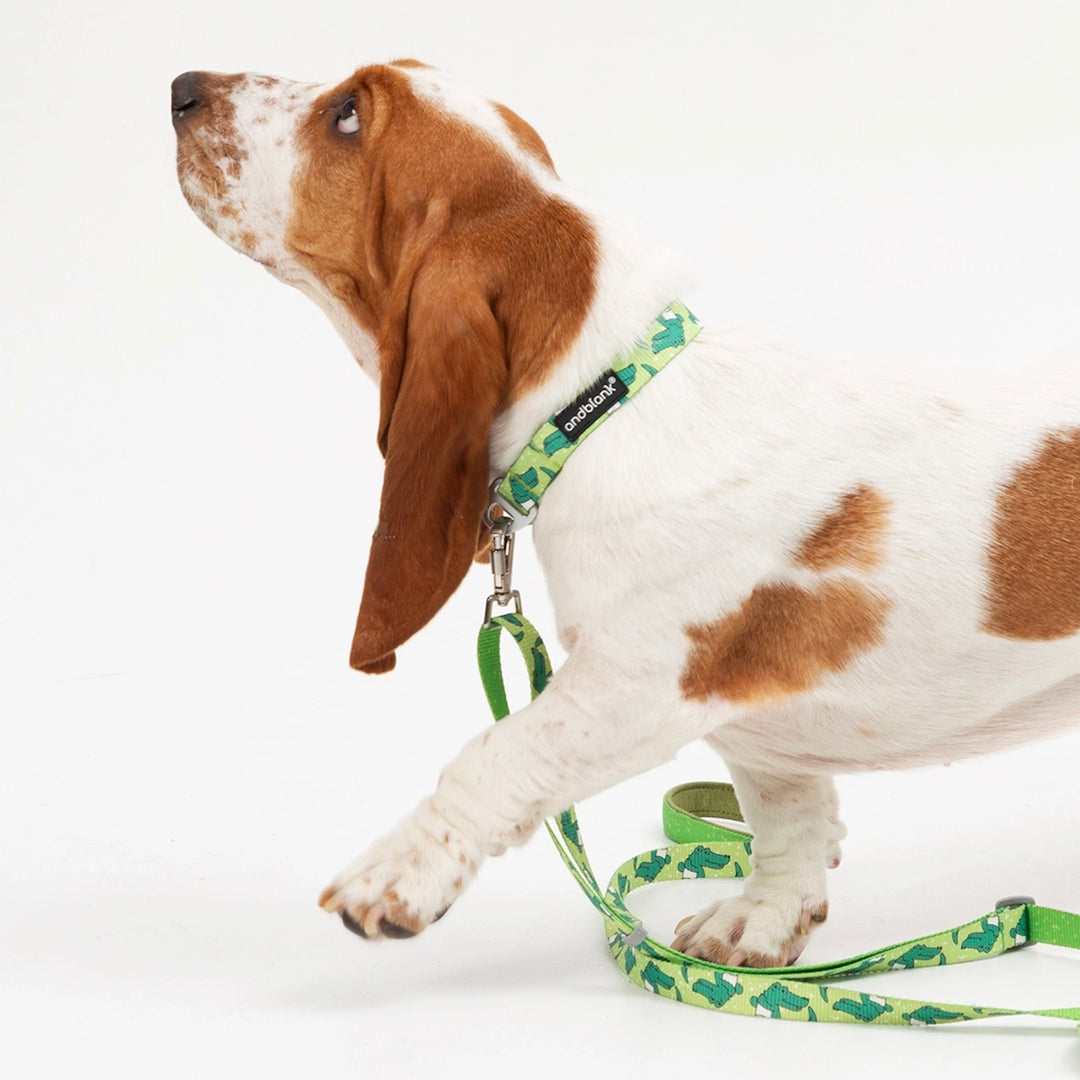 ※予約販売【andblank】ICONIC Lazy Crocodile Collar（Green）