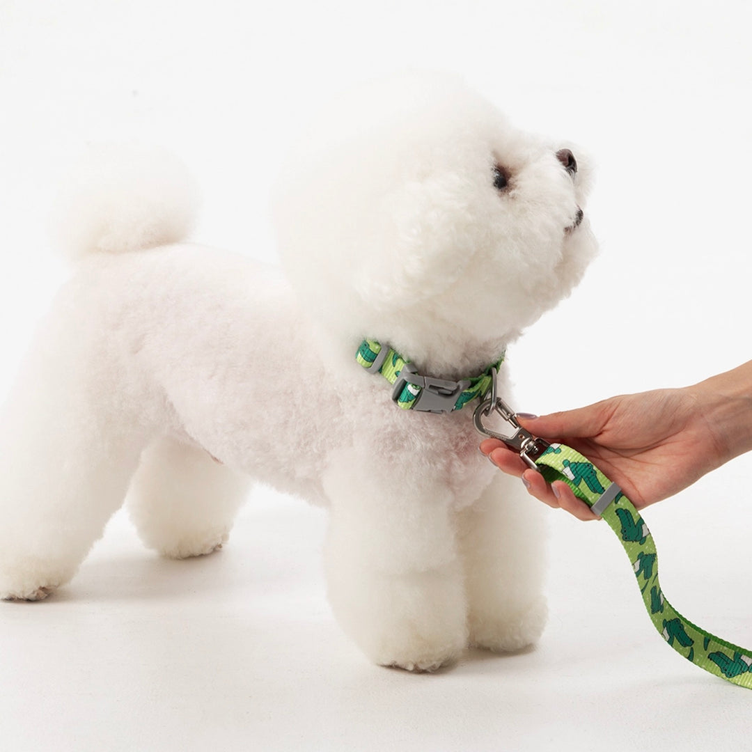 ※予約販売【andblank】ICONIC Lazy Crocodile Collar（Green）