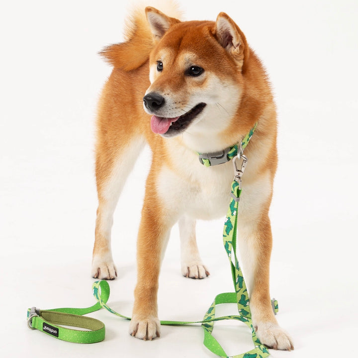 ※予約販売【andblank】ICONIC Lazy Crocodile Collar（Green）