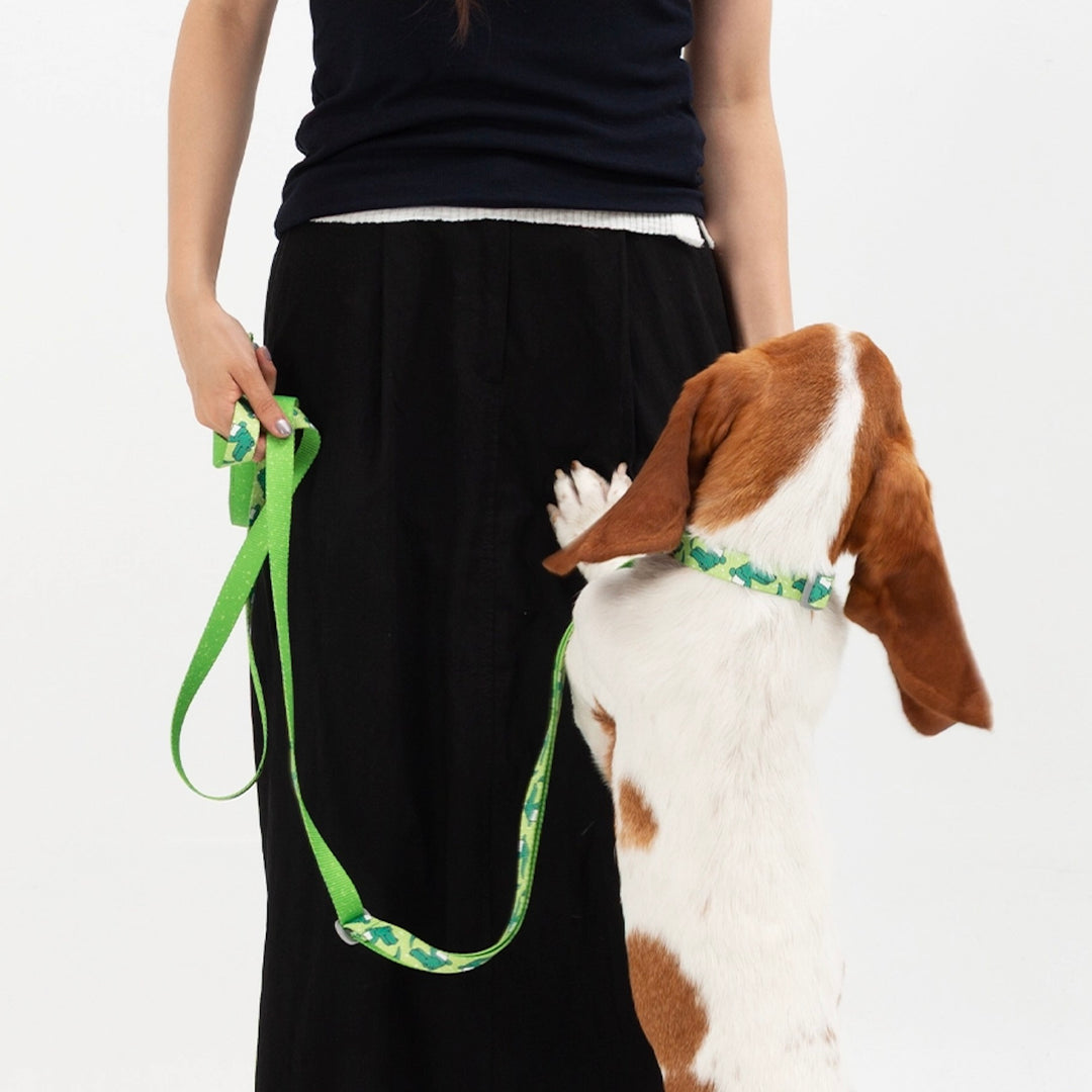 ※予約販売【andblank】ICONIC Lazy Crocodile Collar（Green）