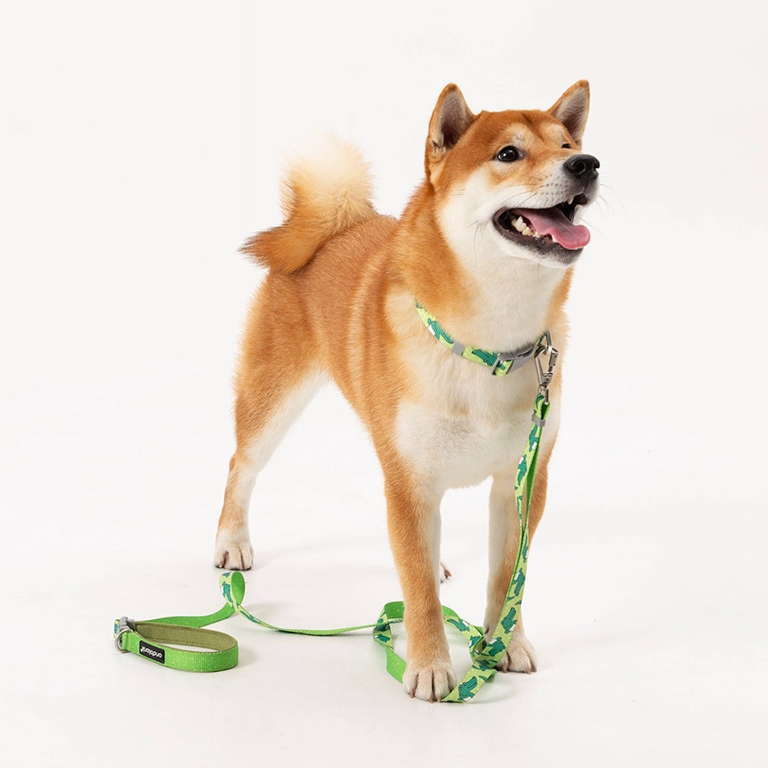 ※予約販売【andblank】ICONIC Lazy Crocodile Collar（Green）