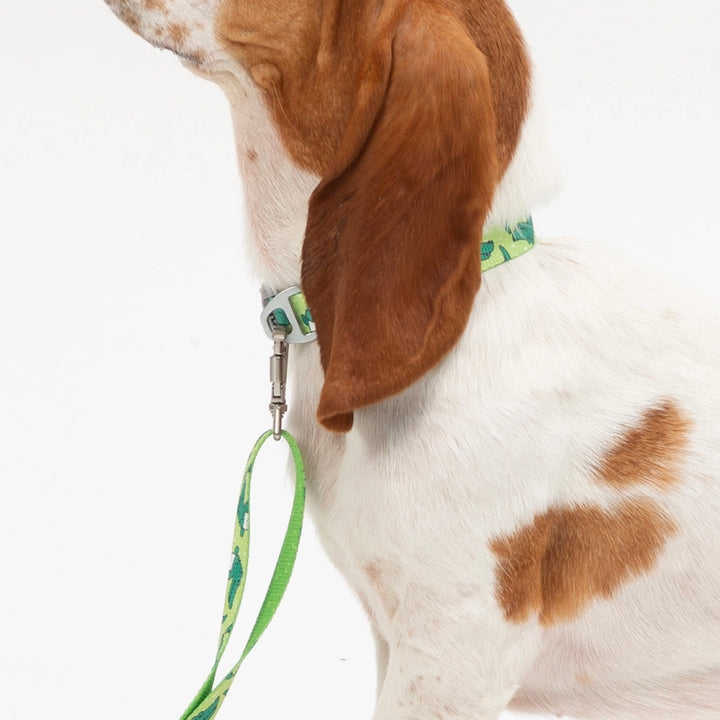 ※予約販売【andblank】ICONIC Lazy Crocodile Collar（Green）